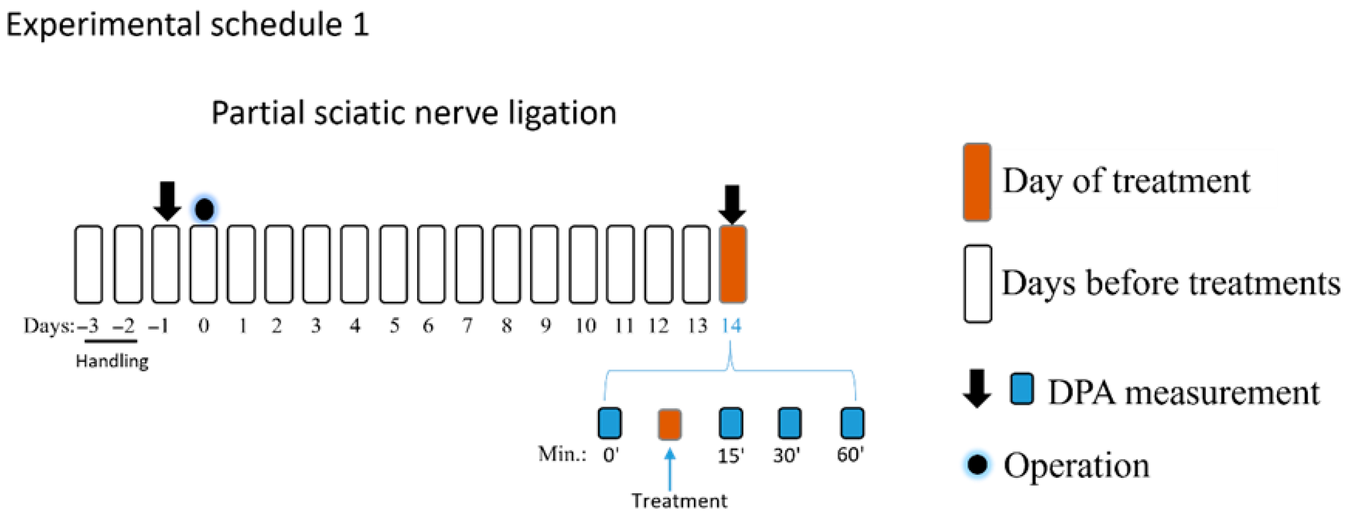 Pharmaceutics 18 00334 i001