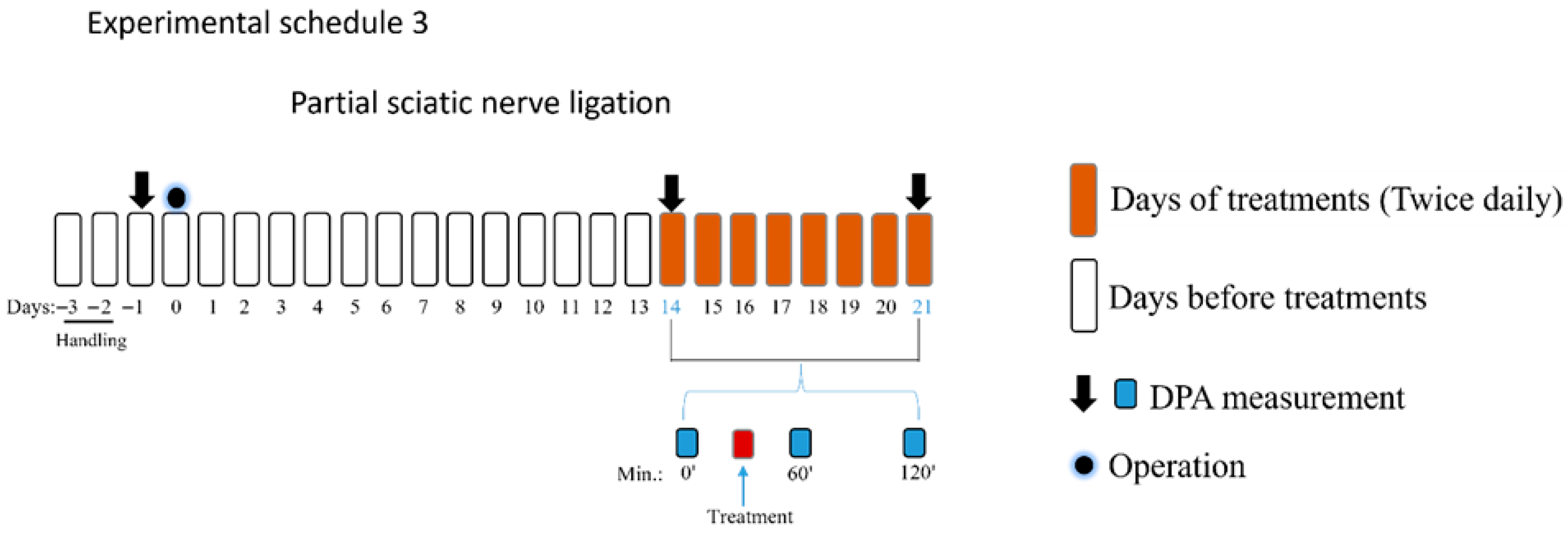 Pharmaceutics 18 00334 i003