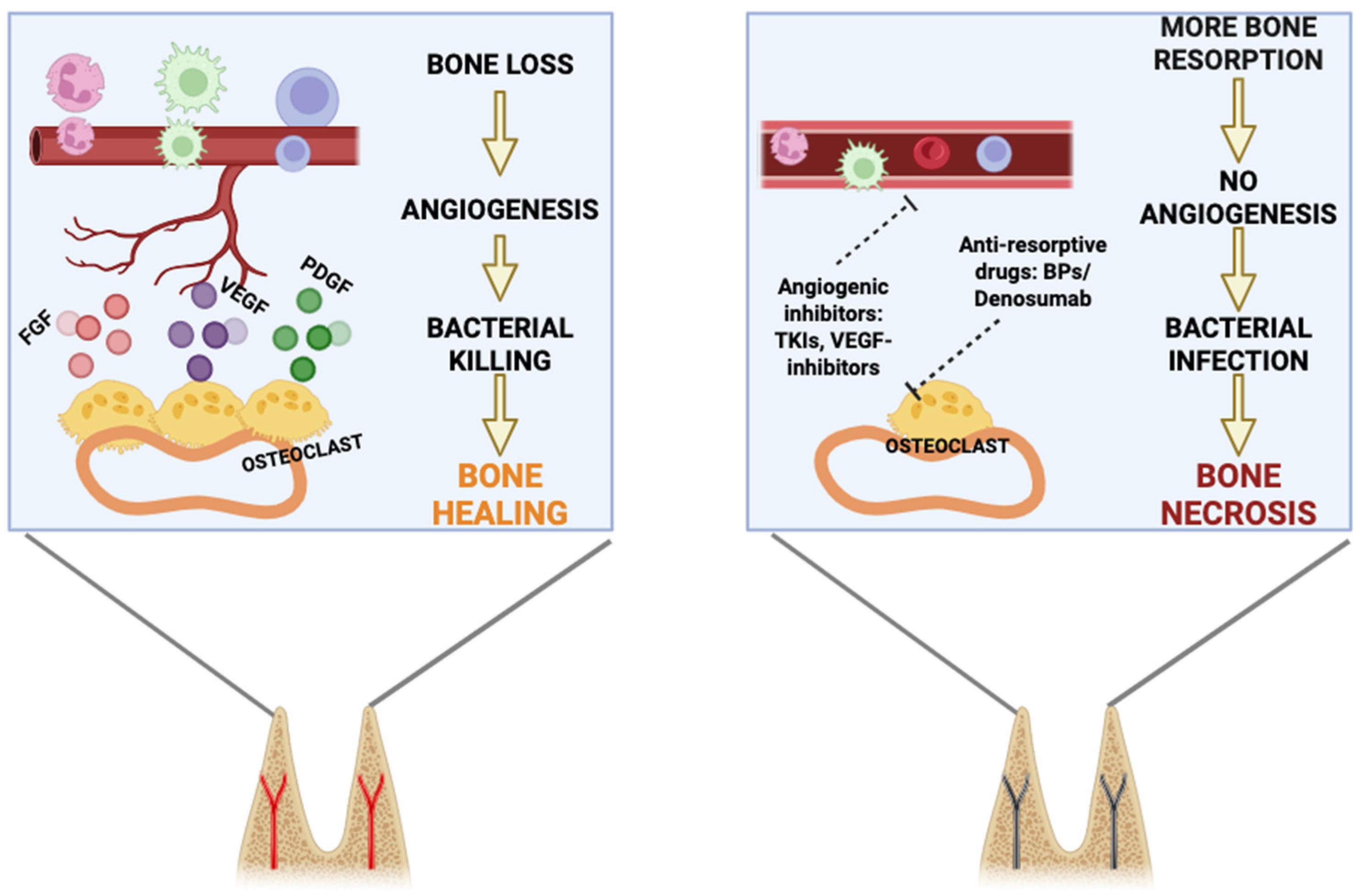 Pharmaceutics 18 00335 g002