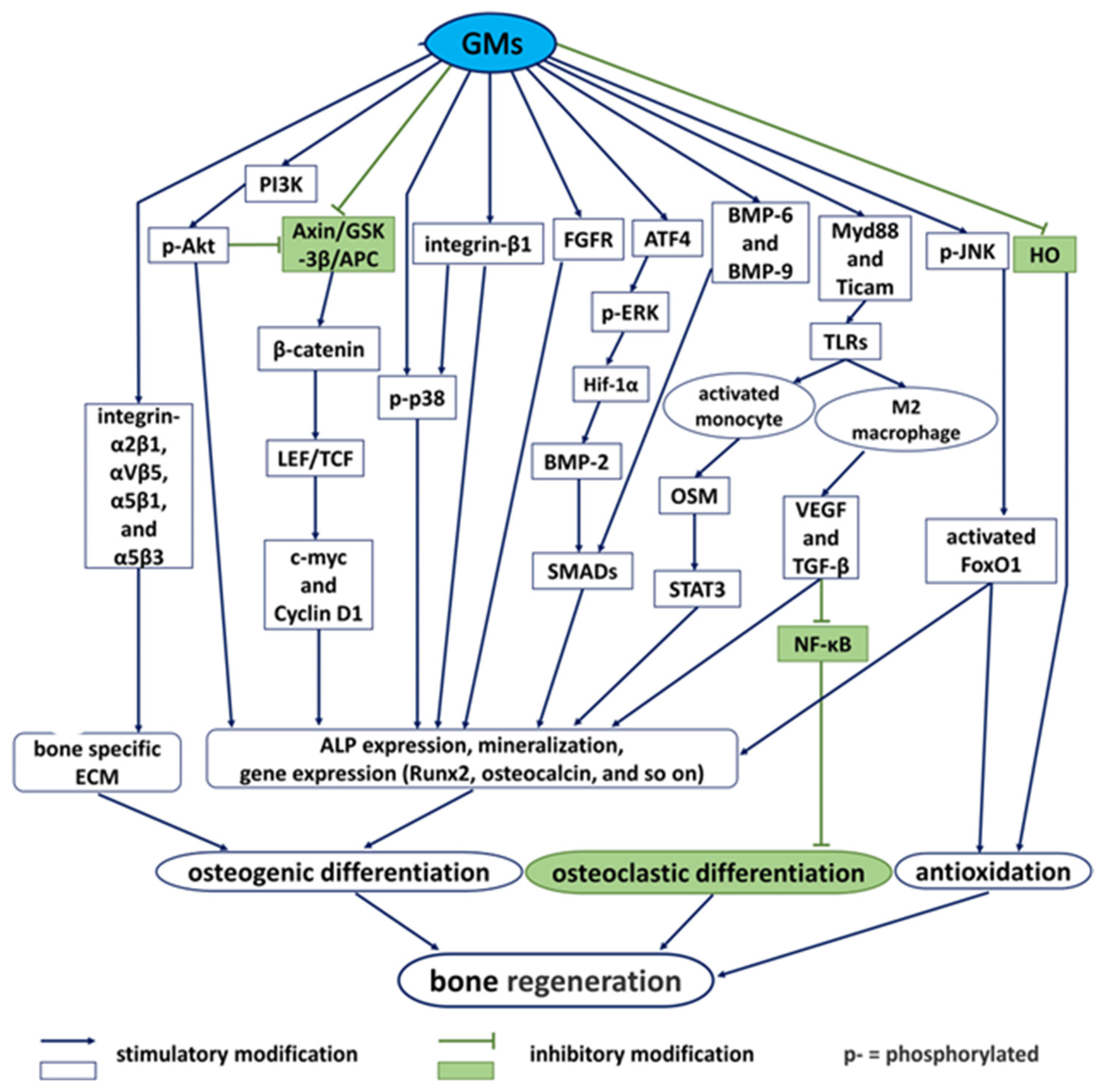 Pharmaceutics 18 00335 g003