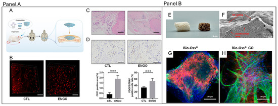 Pharmaceutics 18 00335 g004