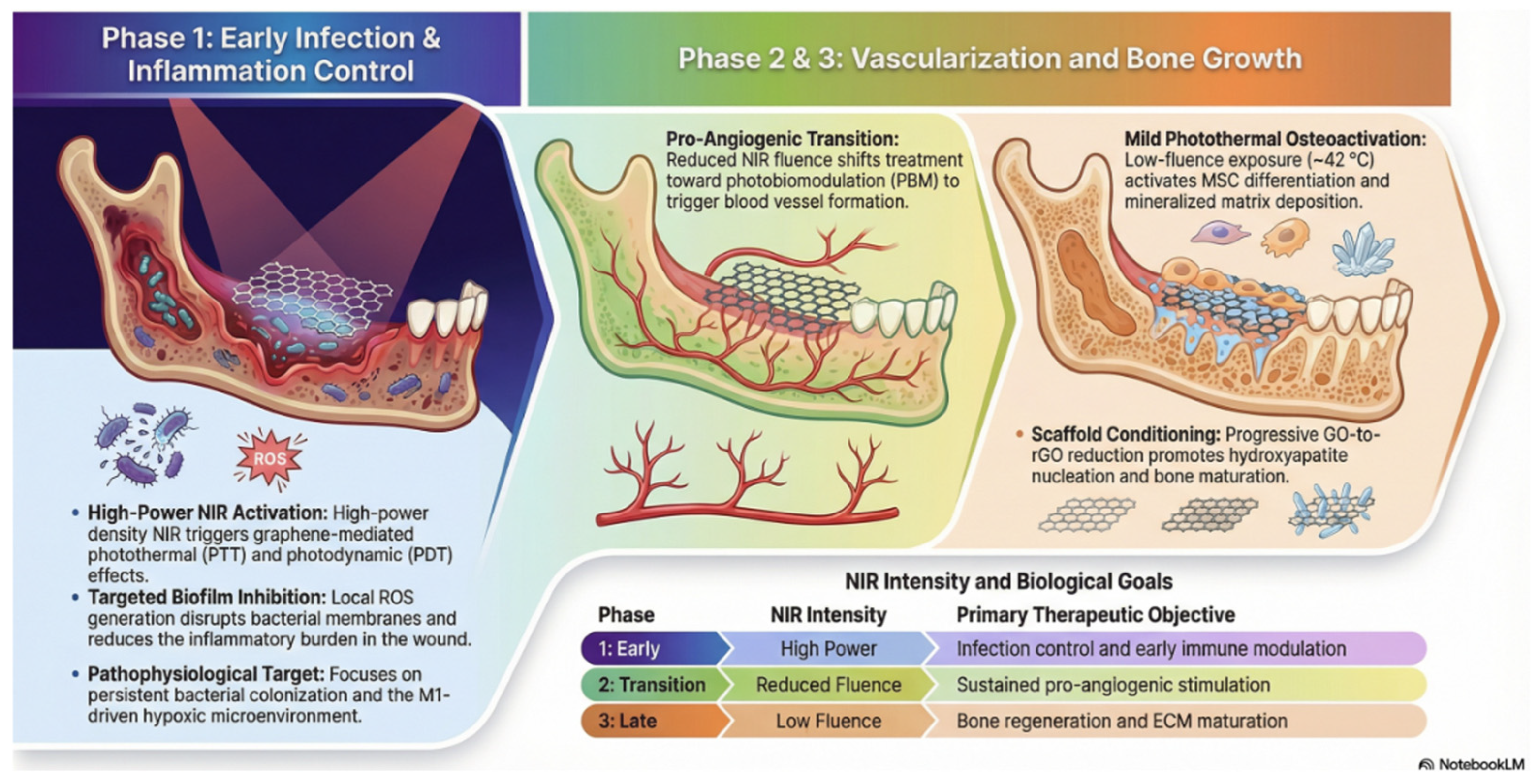 Pharmaceutics 18 00335 g006