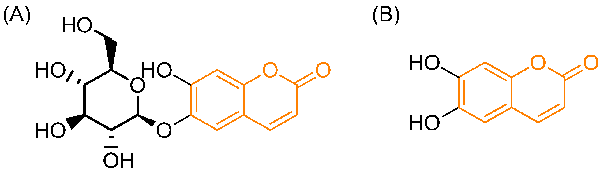 Pharmaceutics 18 00341 g006 Pharmaceutics 18 00341 g006