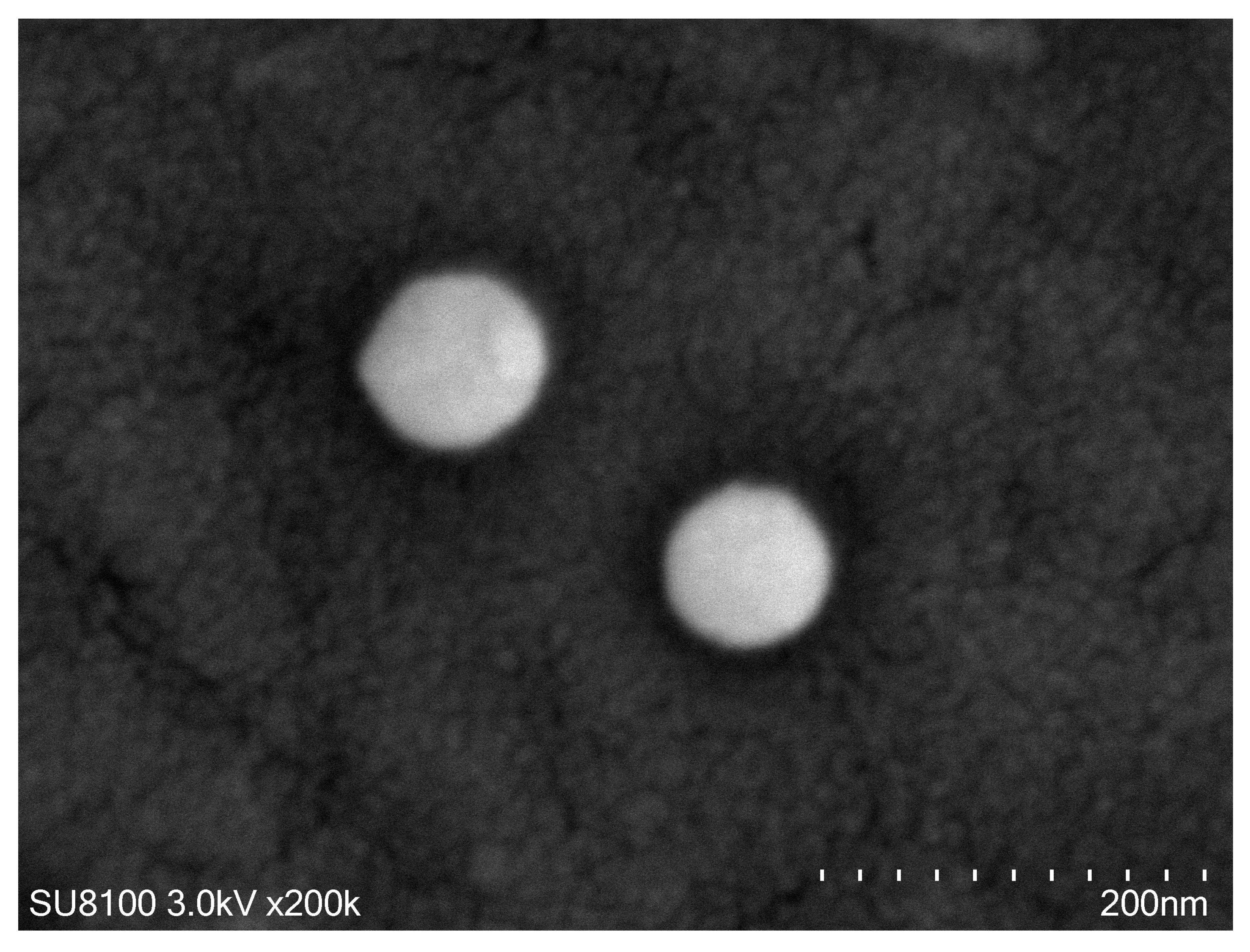 Pharmaceutics 18 00352 g001