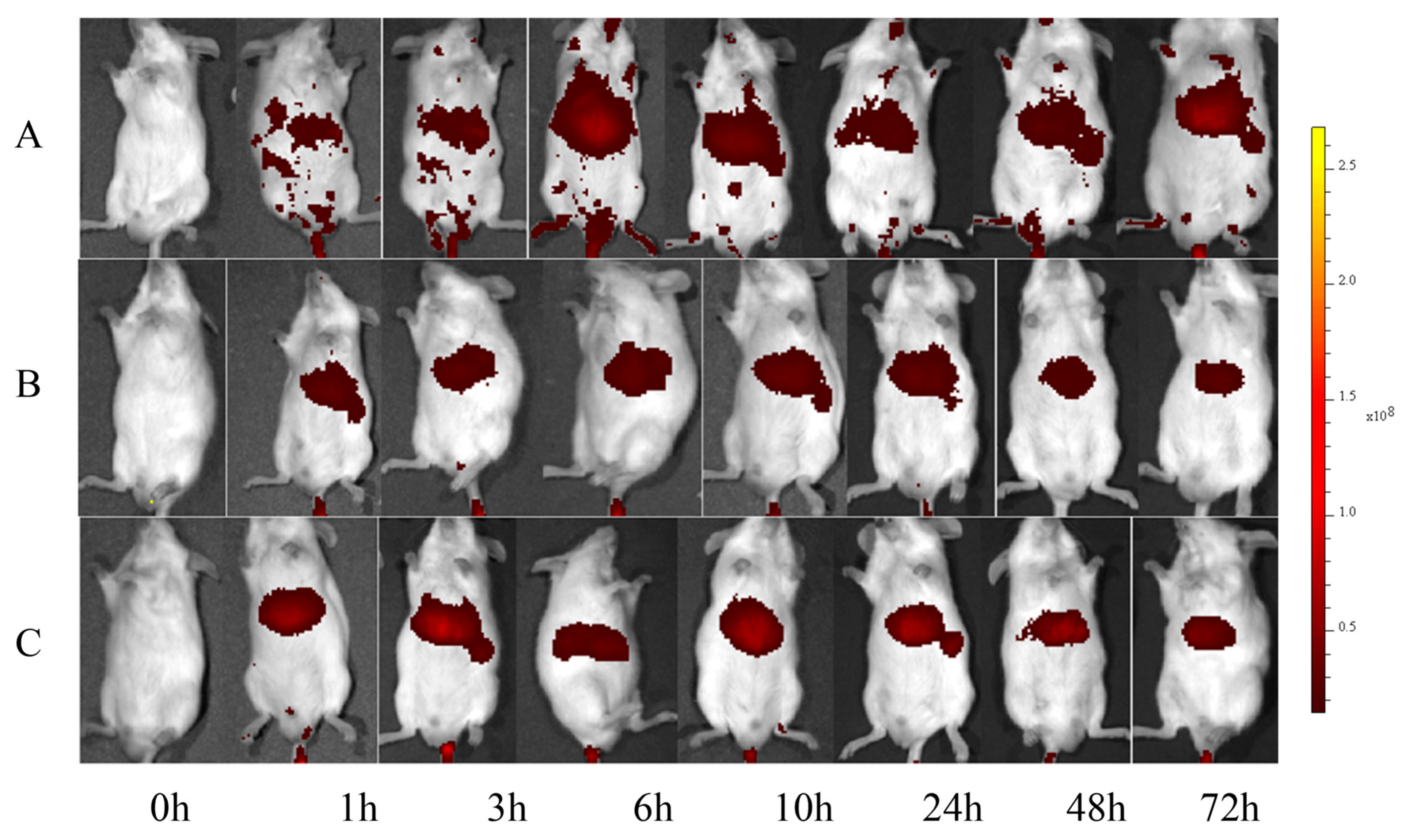 Pharmaceutics 18 00352 g003