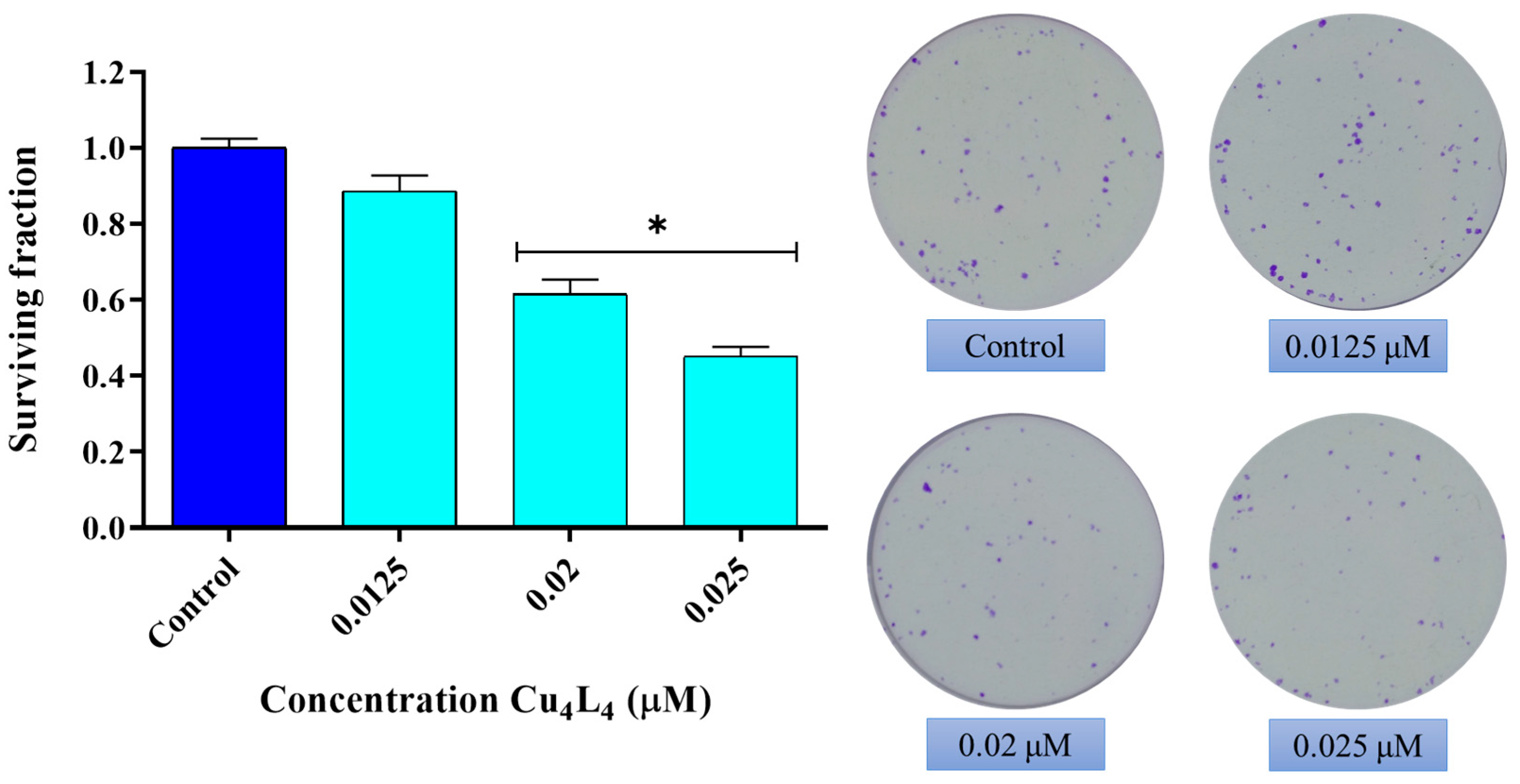 Pharmaceutics 18 00372 g003