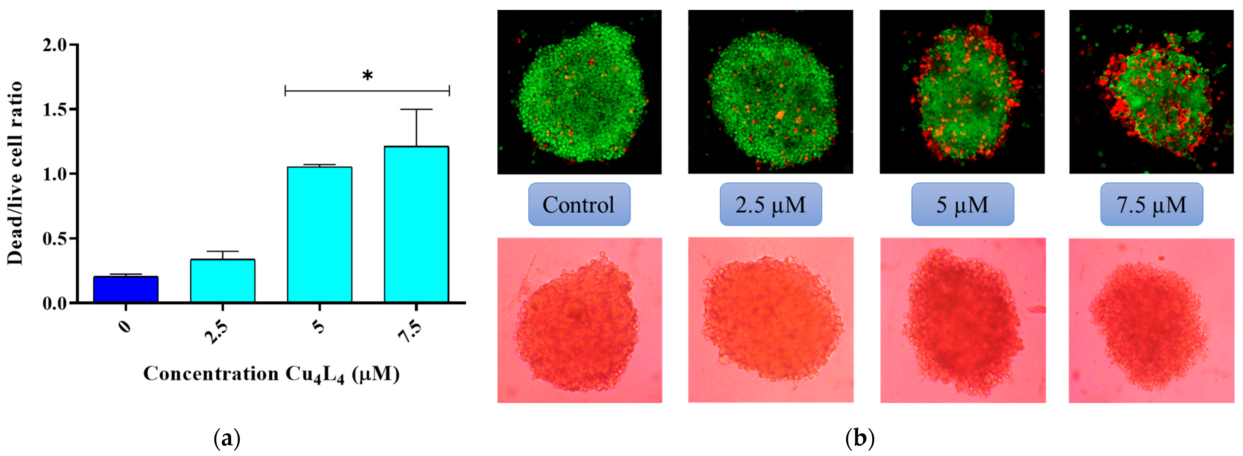 Pharmaceutics 18 00372 g005