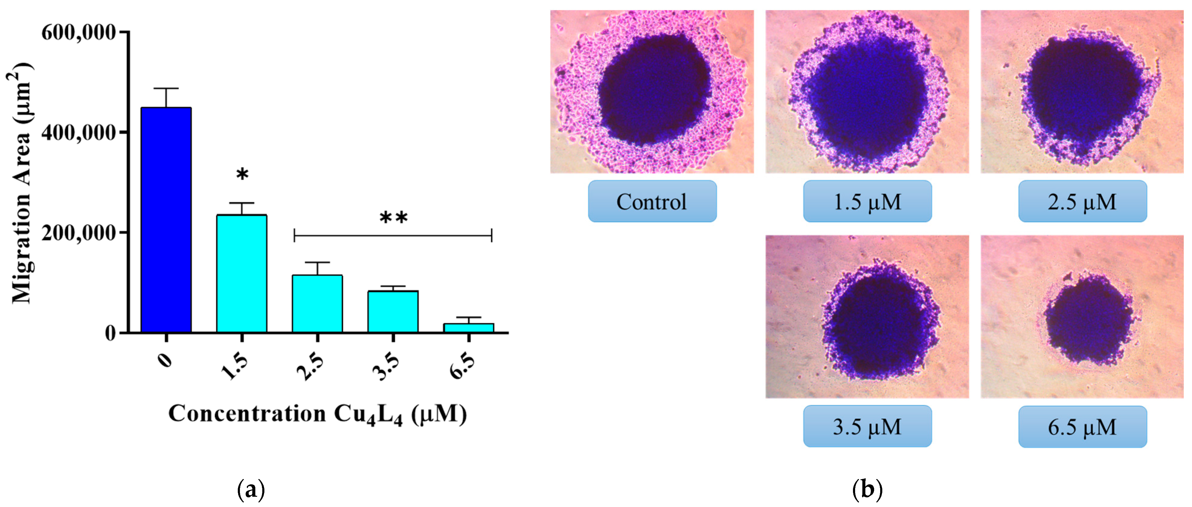Pharmaceutics 18 00372 g006