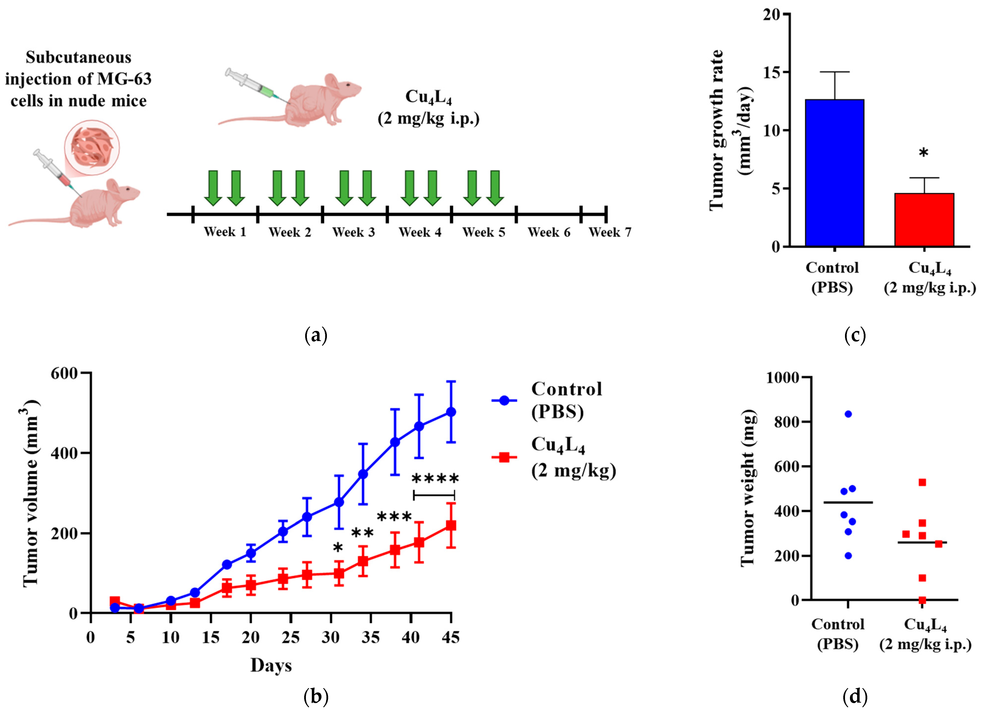 Pharmaceutics 18 00372 g007