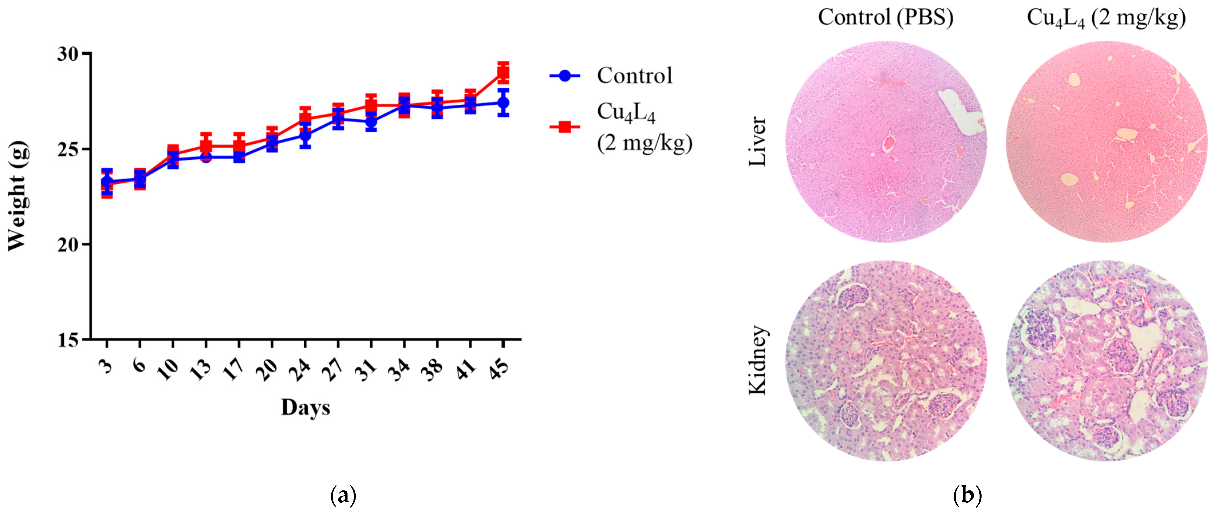 Pharmaceutics 18 00372 g009
