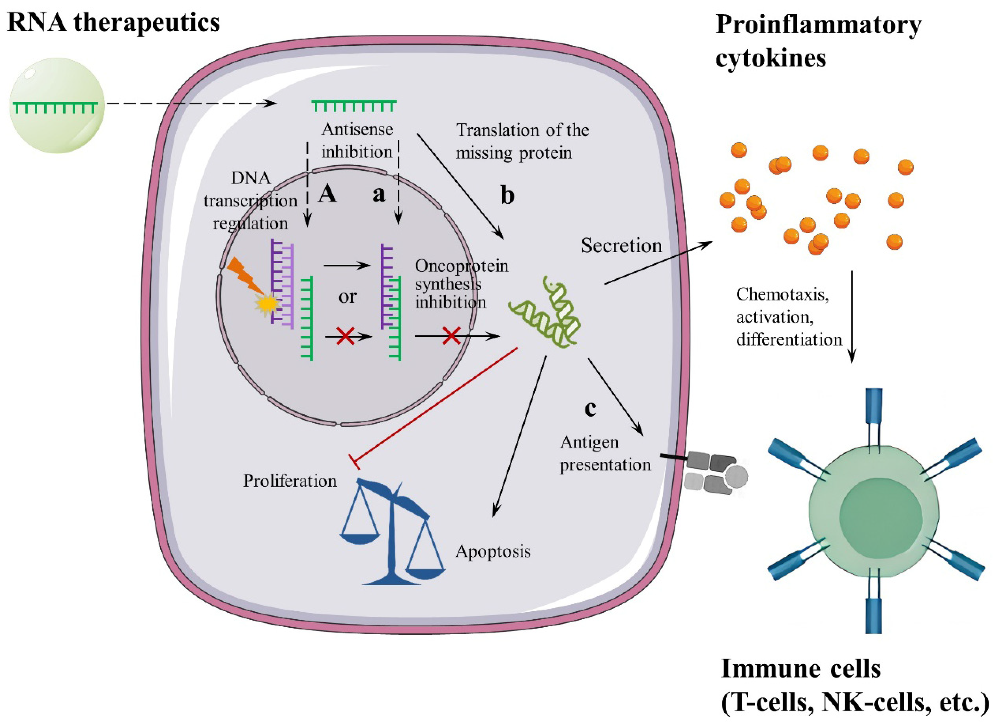 Pharmaceutics 18 00431 g002 Pharmaceutics 18 00431 g002