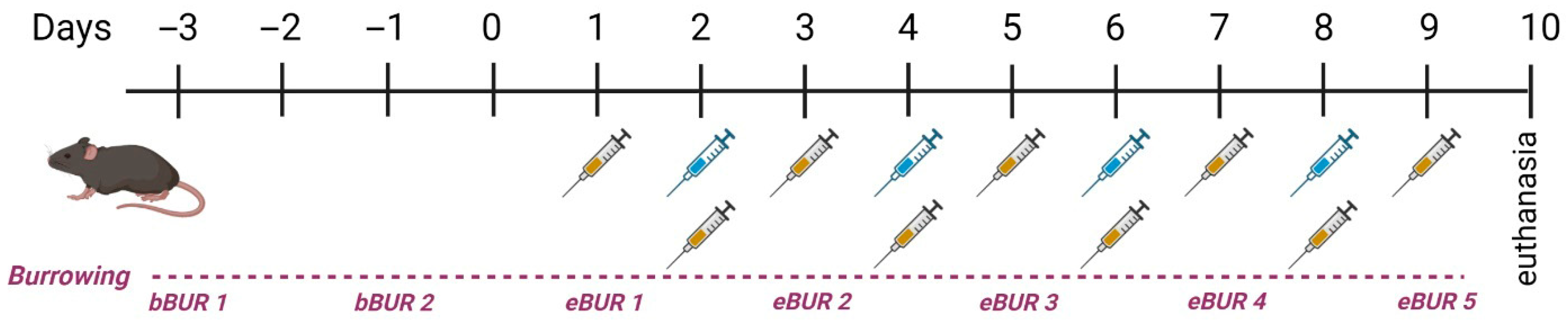 Pharmaceutics 18 00458 sch001 Pharmaceutics 18 00458 sch001