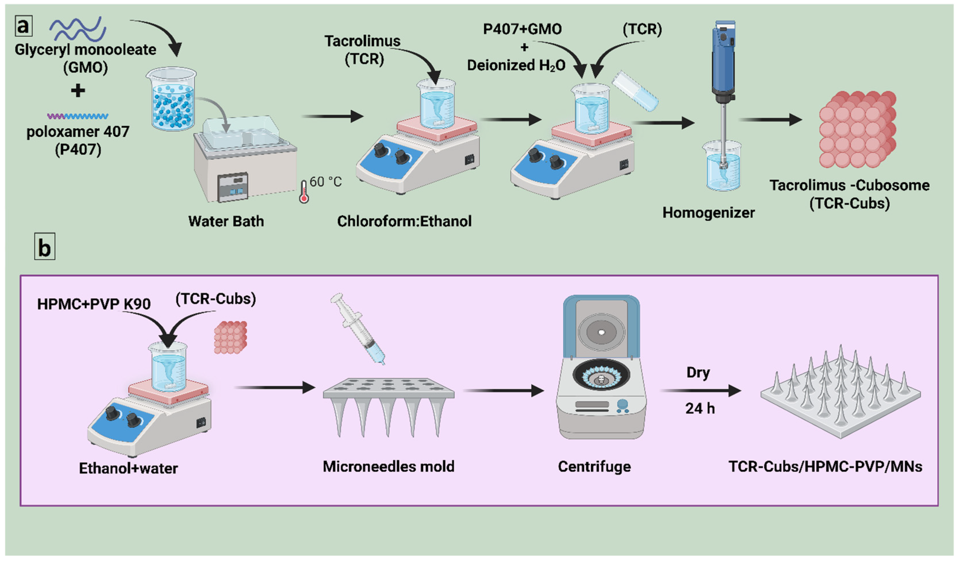 Pharmaceutics 18 00459 g001 Pharmaceutics 18 00459 g001