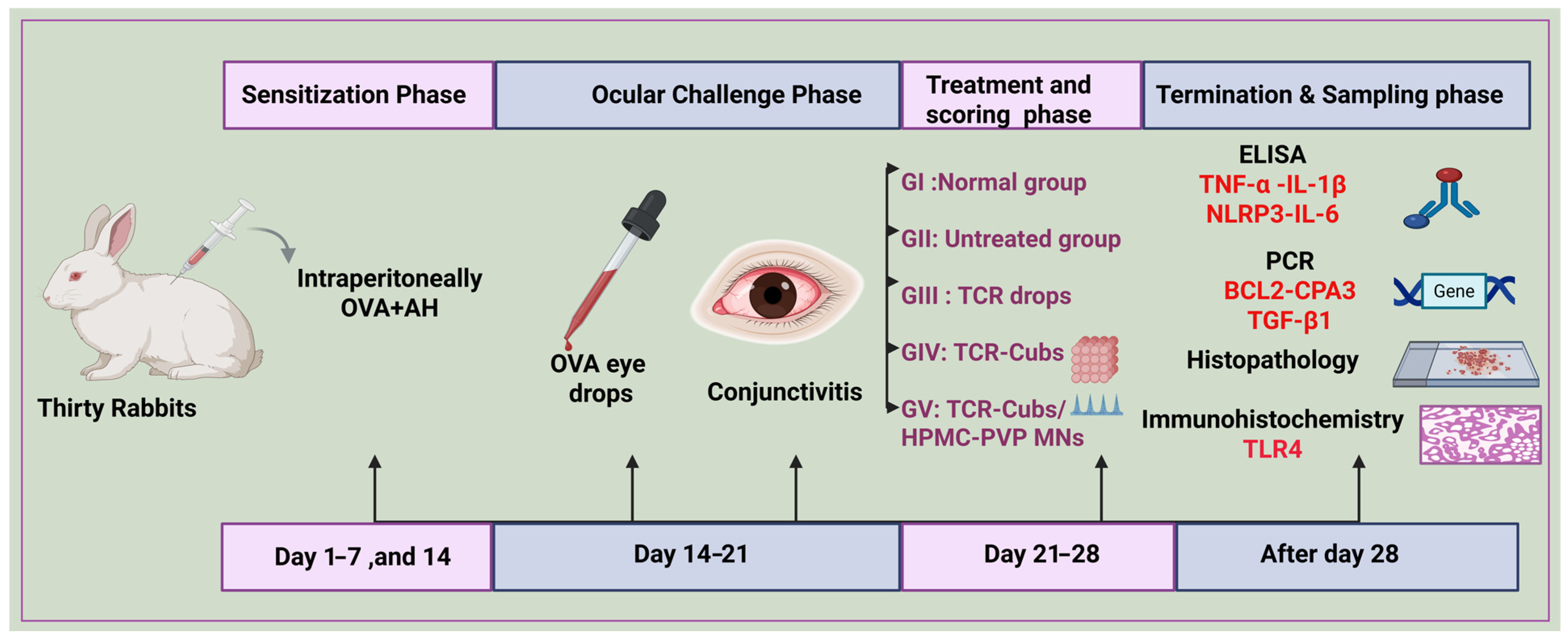 Pharmaceutics 18 00459 g002 Pharmaceutics 18 00459 g002