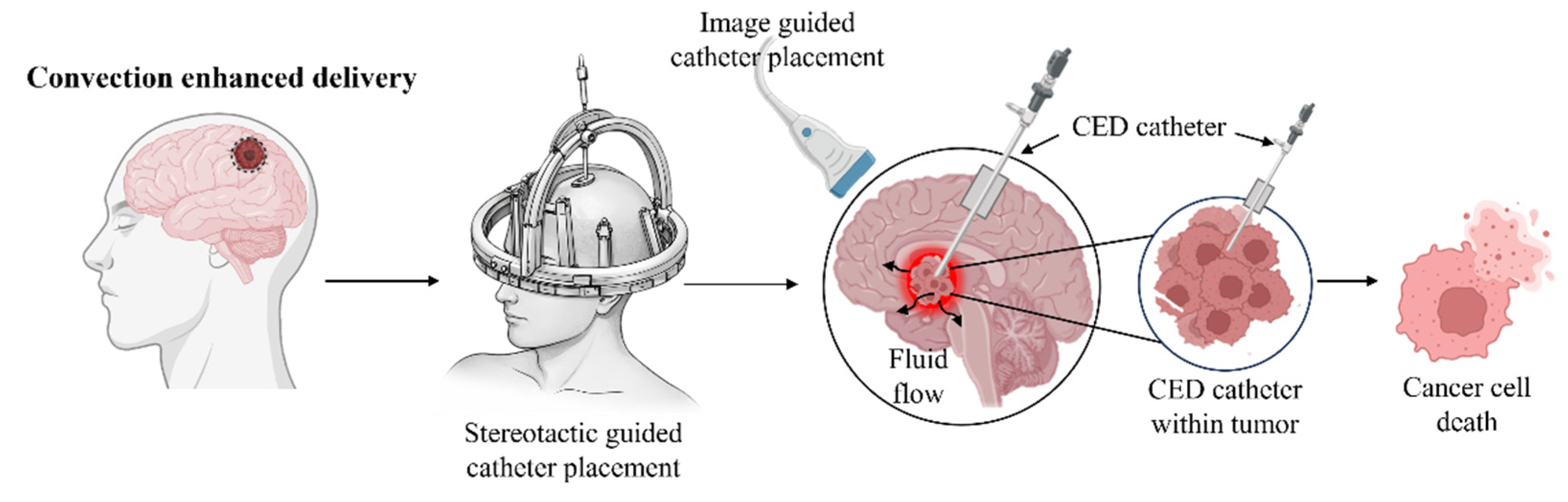 Pharmaceutics 18 00470 g002 Pharmaceutics 18 00470 g002
