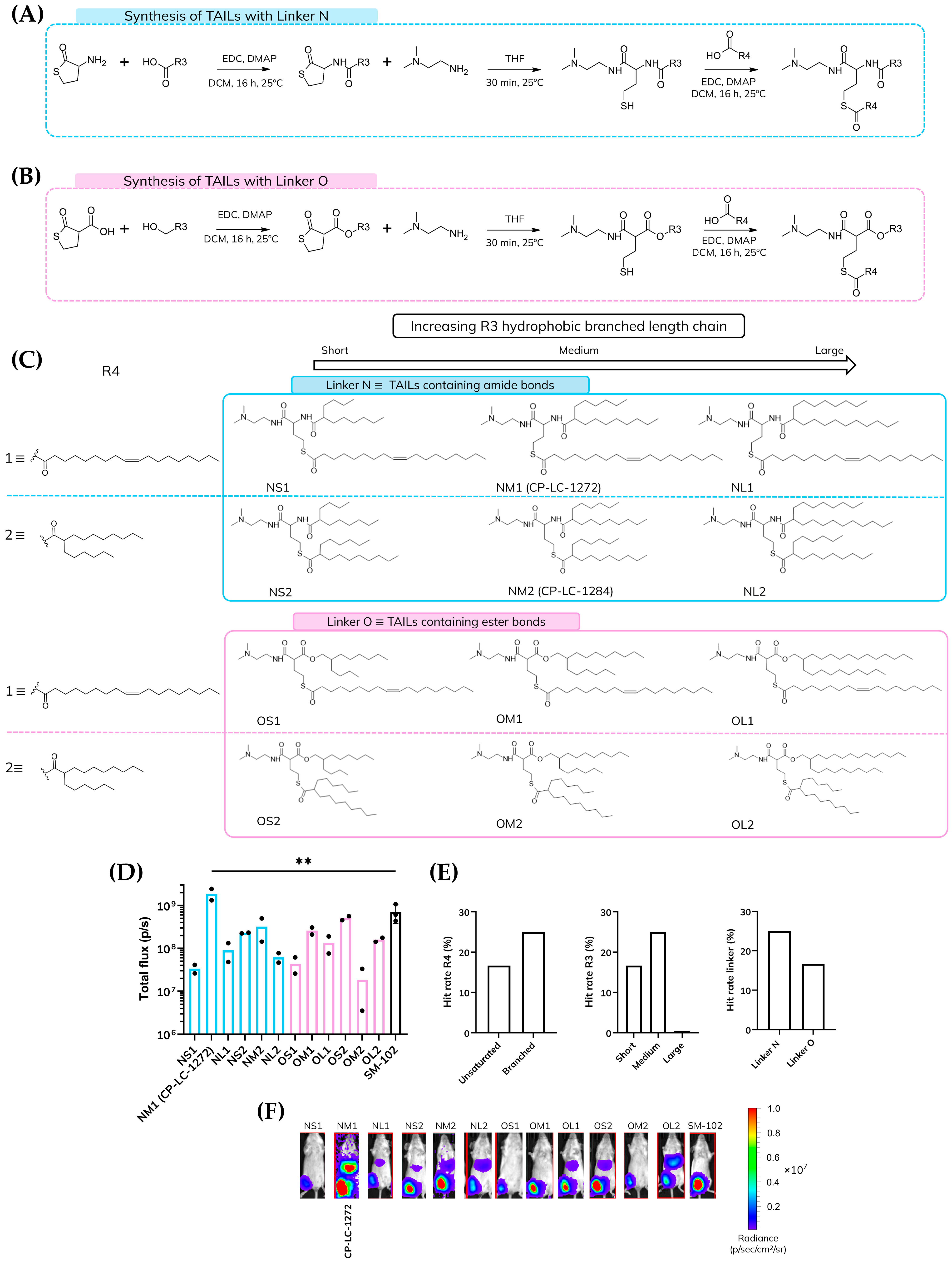 Pharmaceutics 18 00472 g002