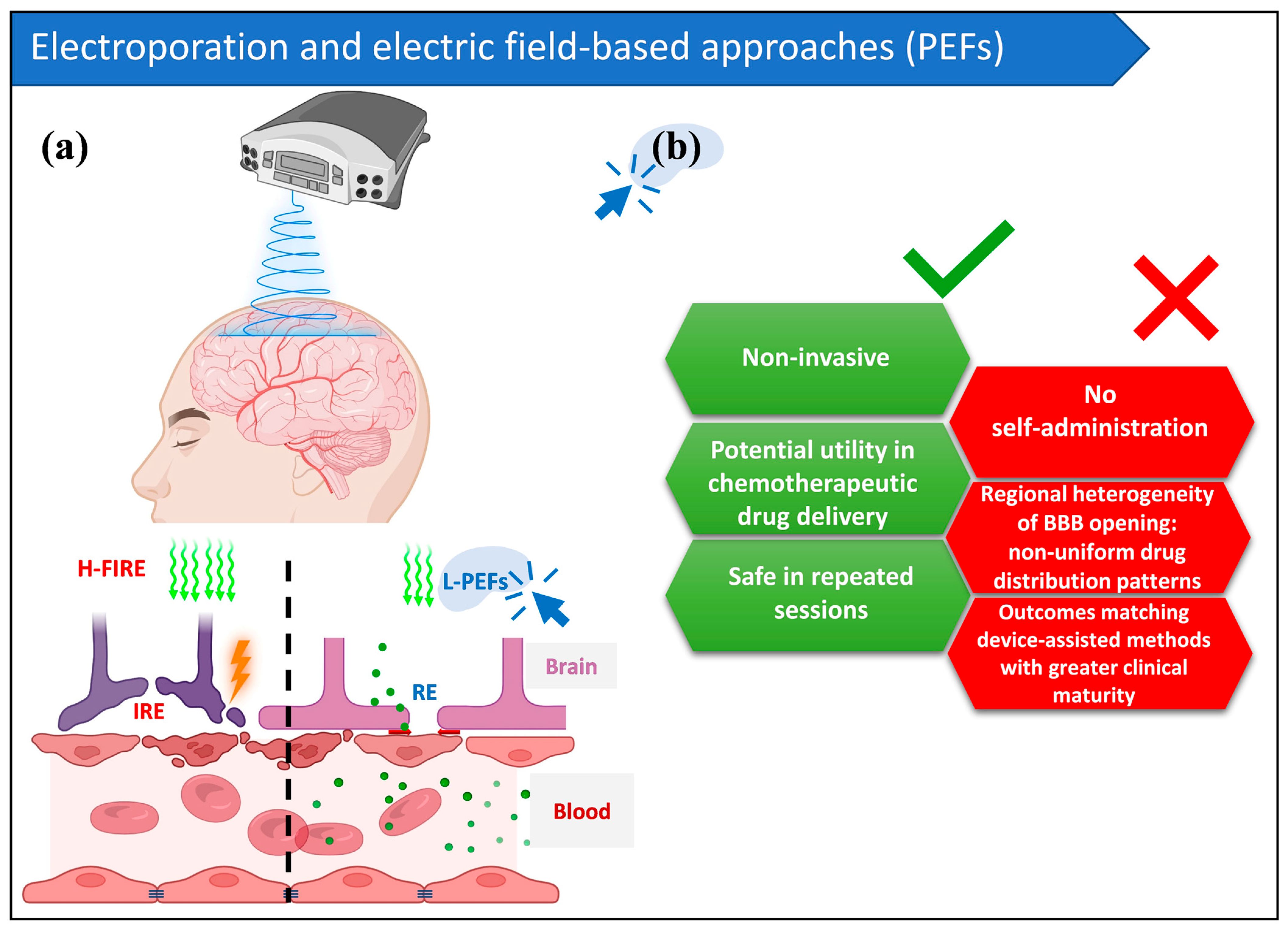Pharmaceutics 18 00484 g002 Pharmaceutics 18 00484 g002