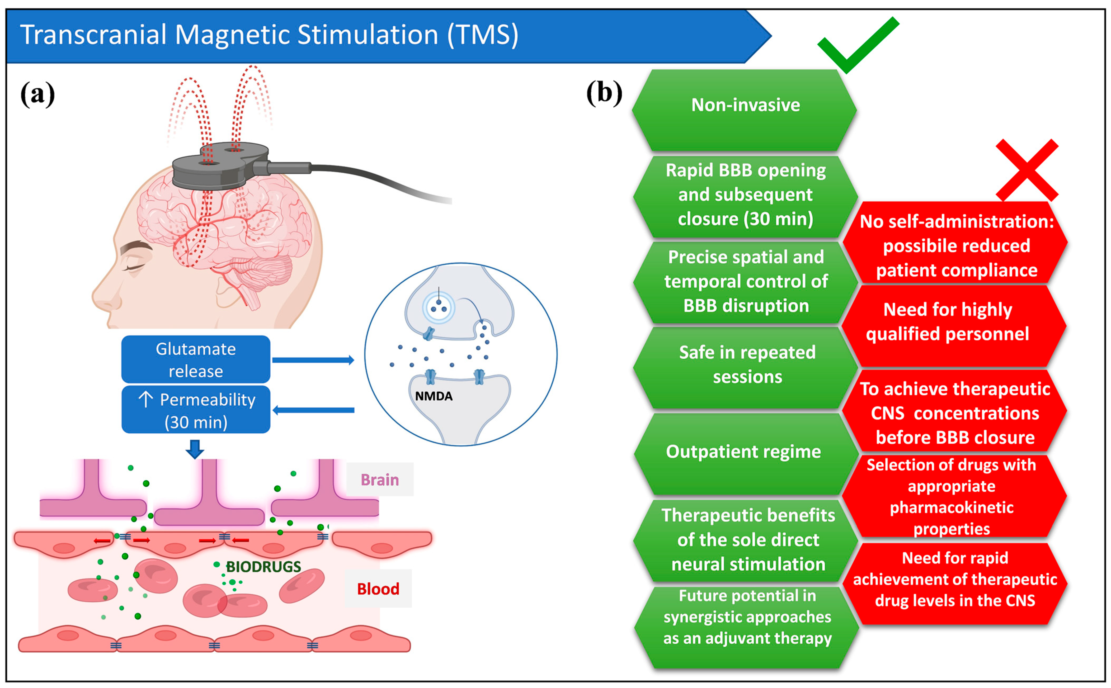 Pharmaceutics 18 00484 g003 Pharmaceutics 18 00484 g003