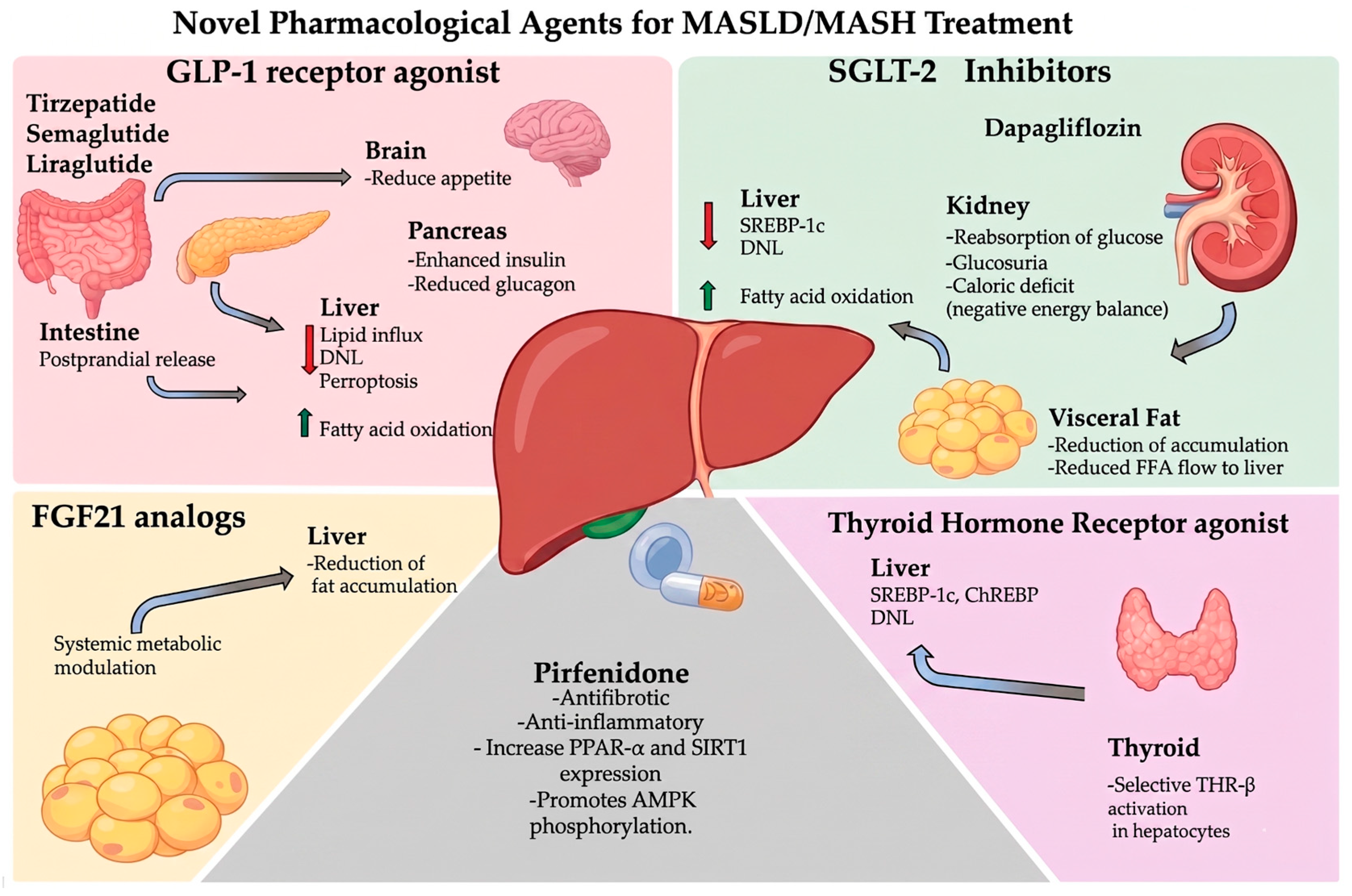 Pharmaceutics 18 00584 g002