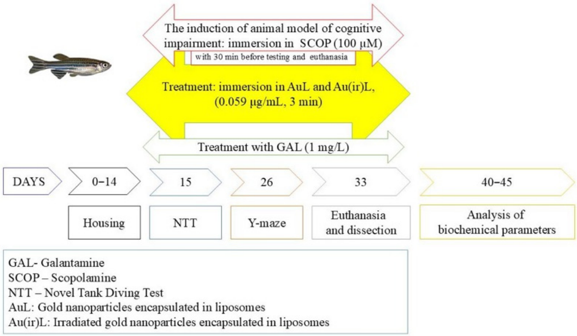 Pharmaceutics 18 00585 g001 Pharmaceutics 18 00585 g001