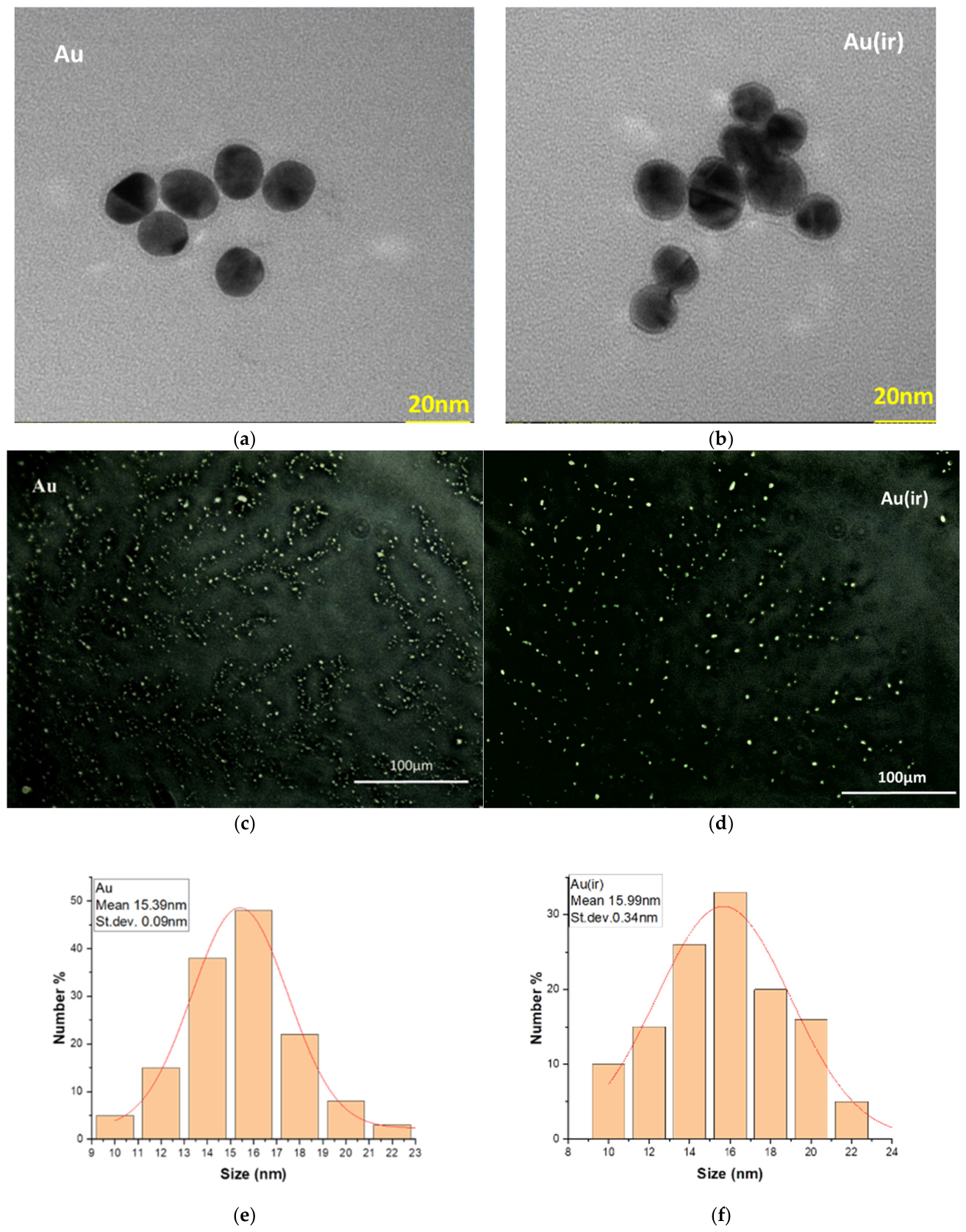 Pharmaceutics 18 00585 g005 Pharmaceutics 18 00585 g005
