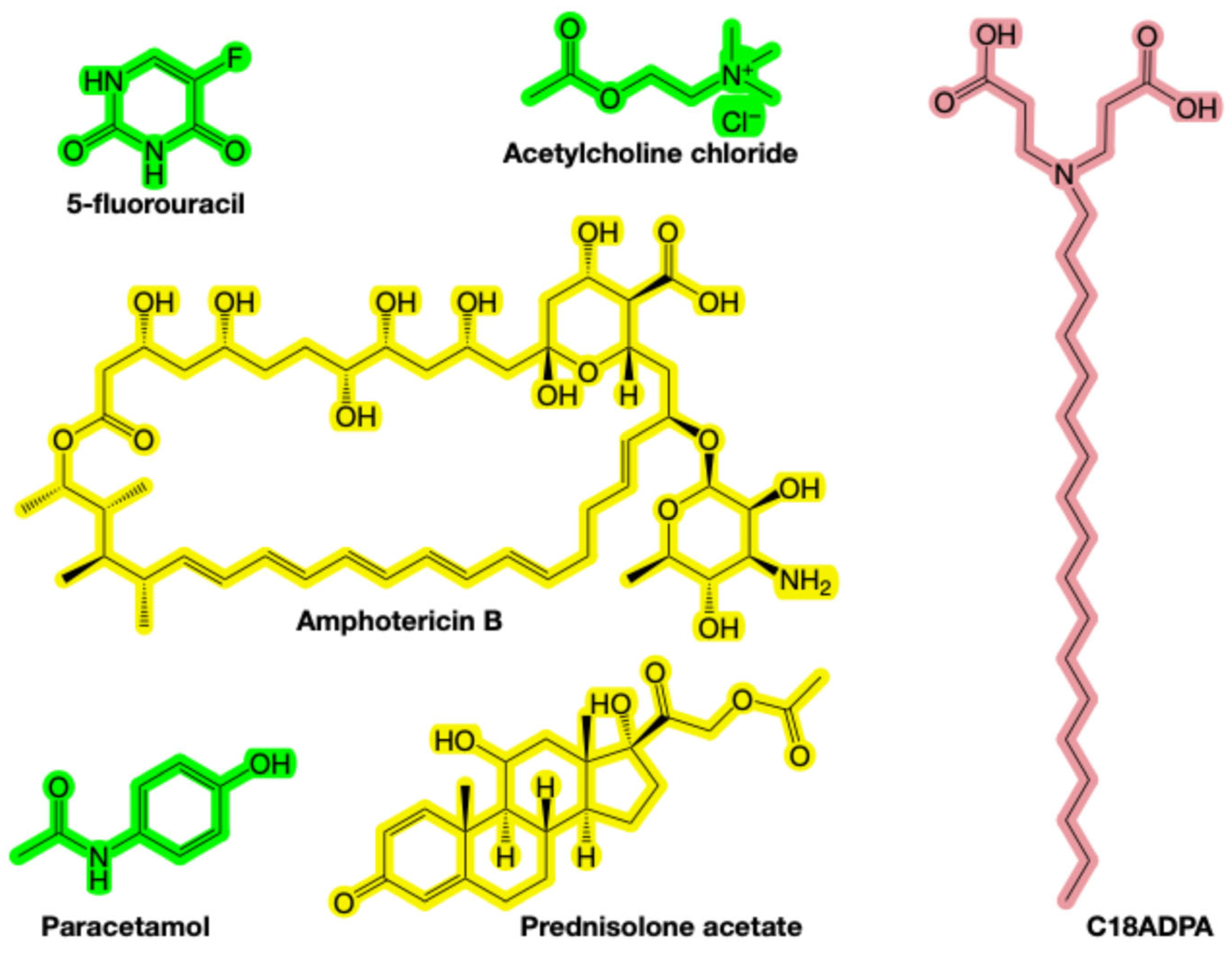 Pharmaceutics 18 00592 g001 Pharmaceutics 18 00592 g001