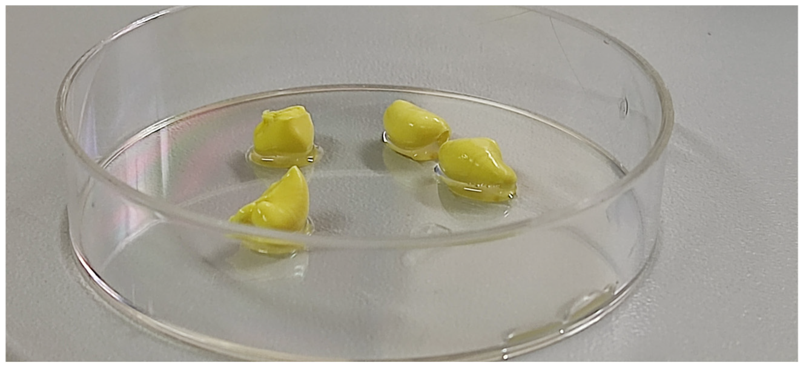 Pharmaceutics 18 00601 g002 Pharmaceutics 18 00601 g002