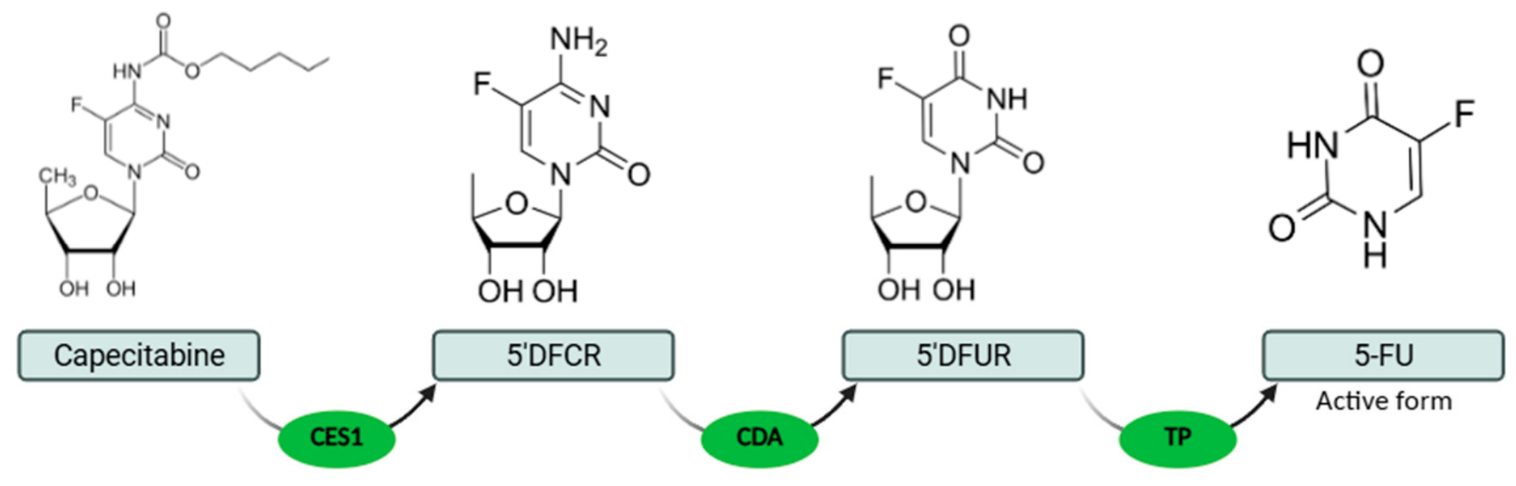 Pharmaceutics 18 00633 g001 Pharmaceutics 18 00633 g001