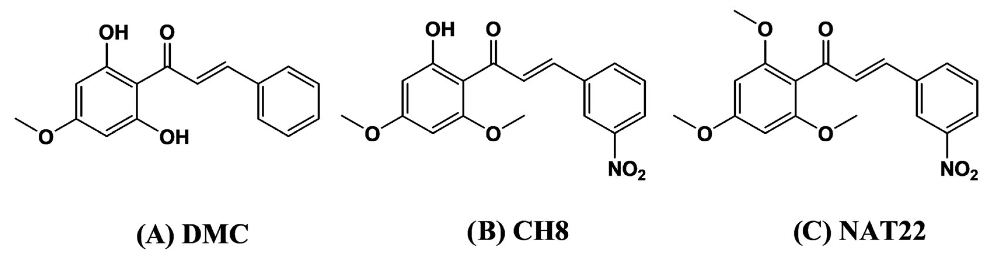 Pharmaceutics 18 00664 g001 Pharmaceutics 18 00664 g001