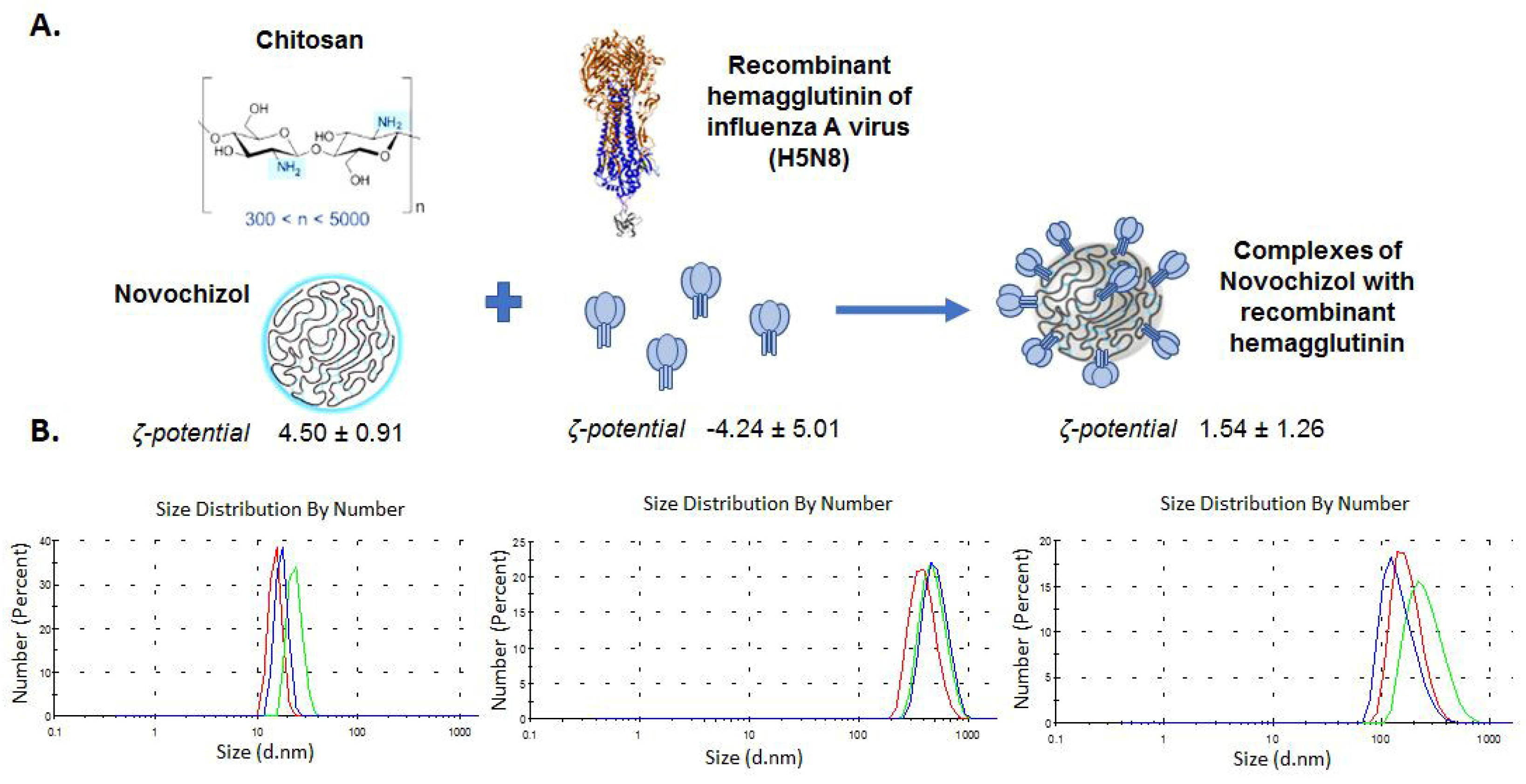 Pharmaceutics 18 00669 g002 Pharmaceutics 18 00669 g002