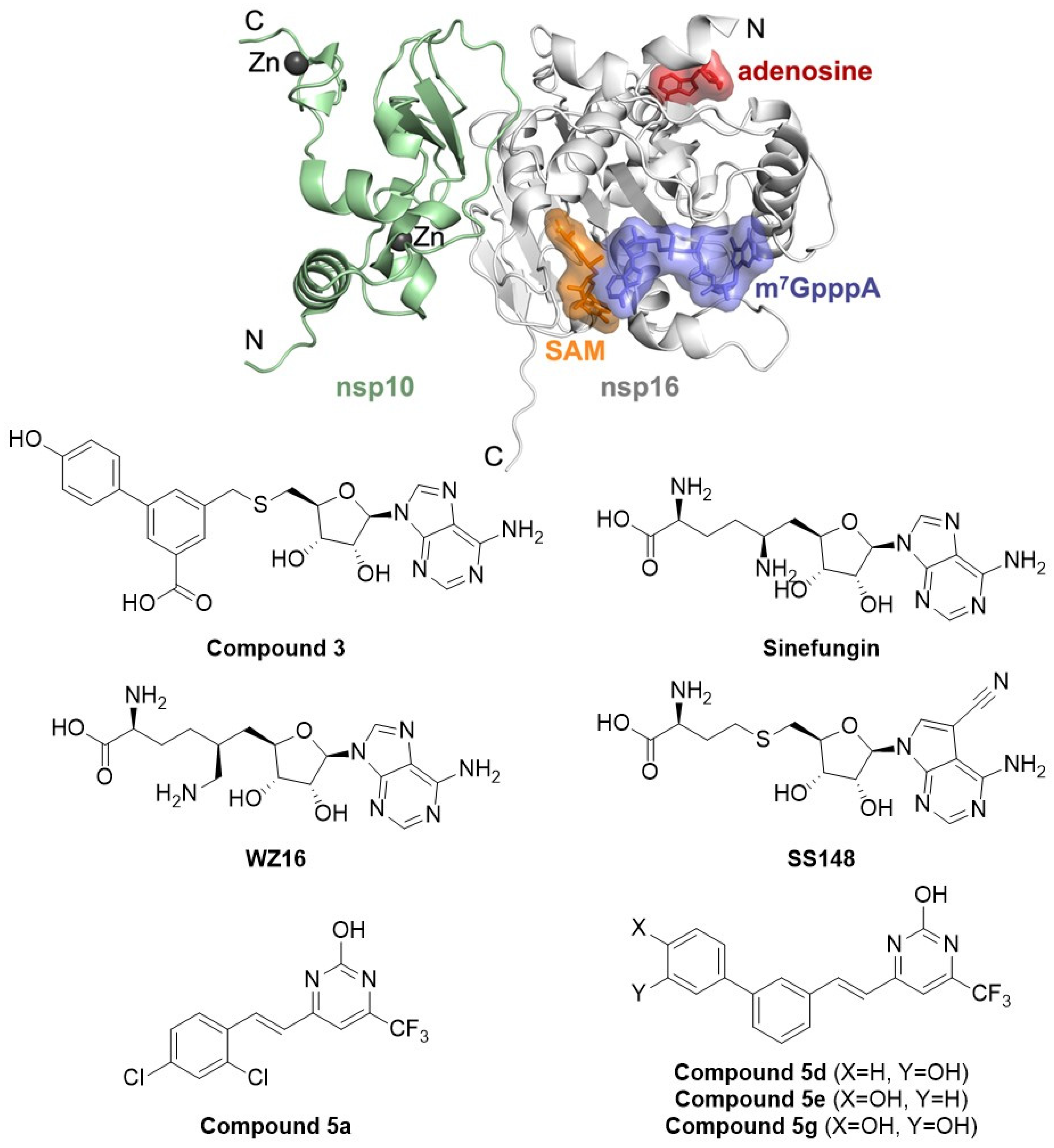 Pharmaceutics 18 00693 g006 Pharmaceutics 18 00693 g006