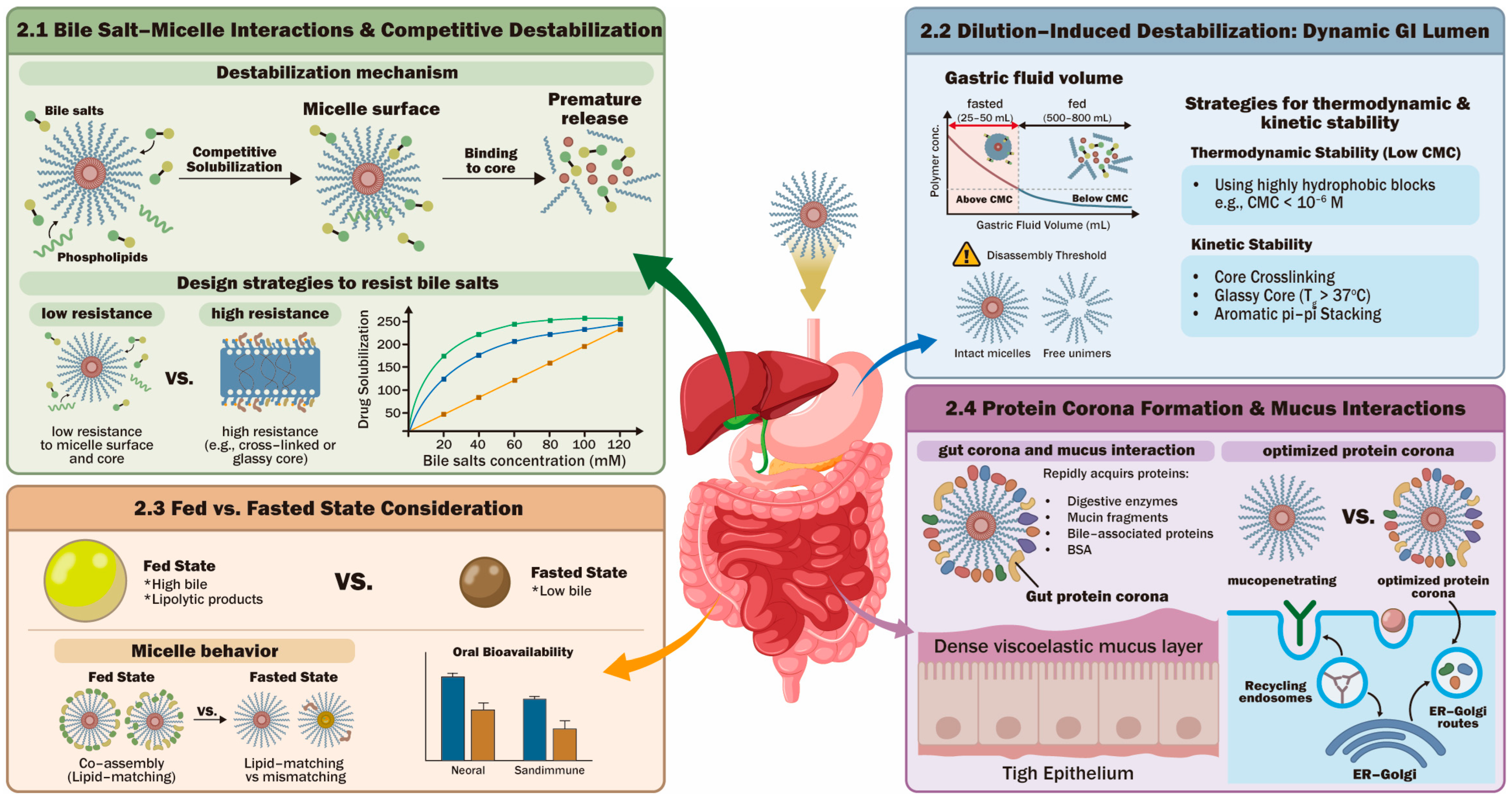 Pharmaceutics 18 00744 g001 Pharmaceutics 18 00744 g001