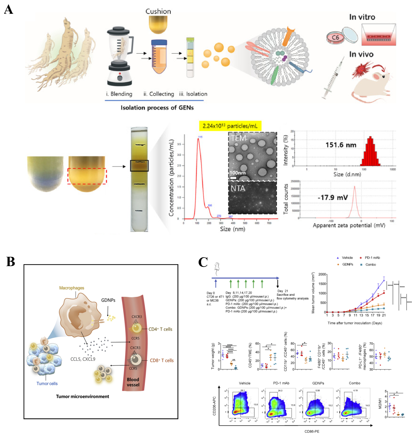 Pharmaceutics 18 00750 g002 Pharmaceutics 18 00750 g002