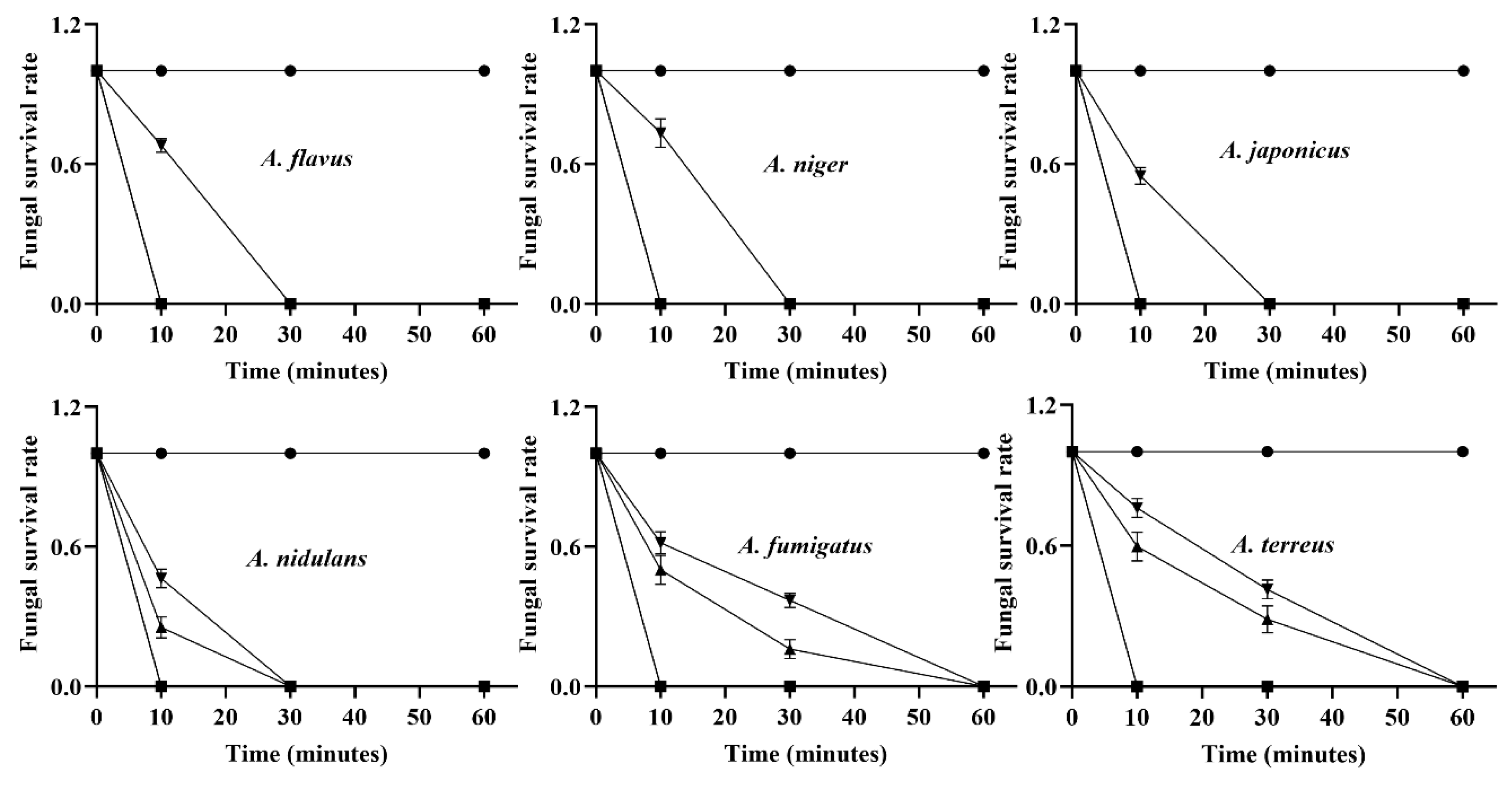 Pharmaceutics 18 00751 g004a Pharmaceutics 18 00751 g004a