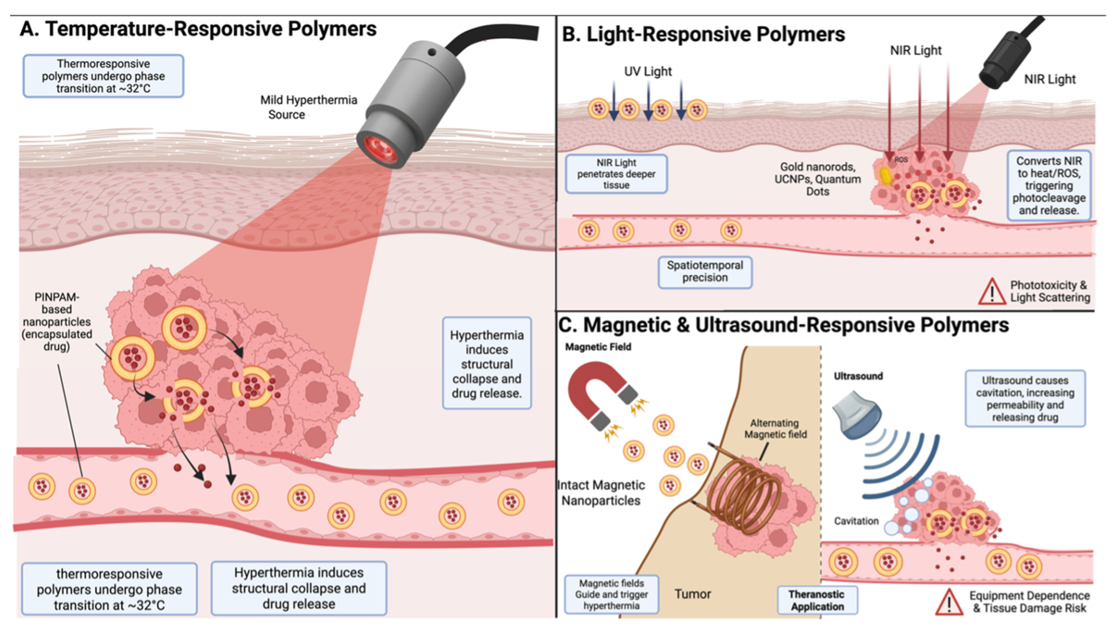 Pharmaceutics 18 00800 g005 Pharmaceutics 18 00800 g005