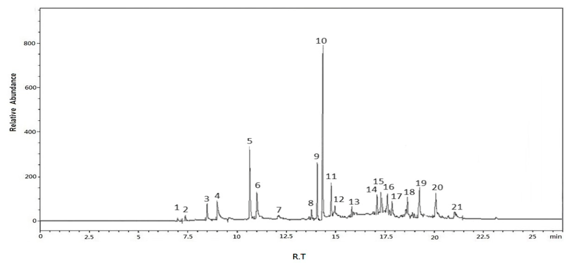Pharmaceutics 18 00804 g003