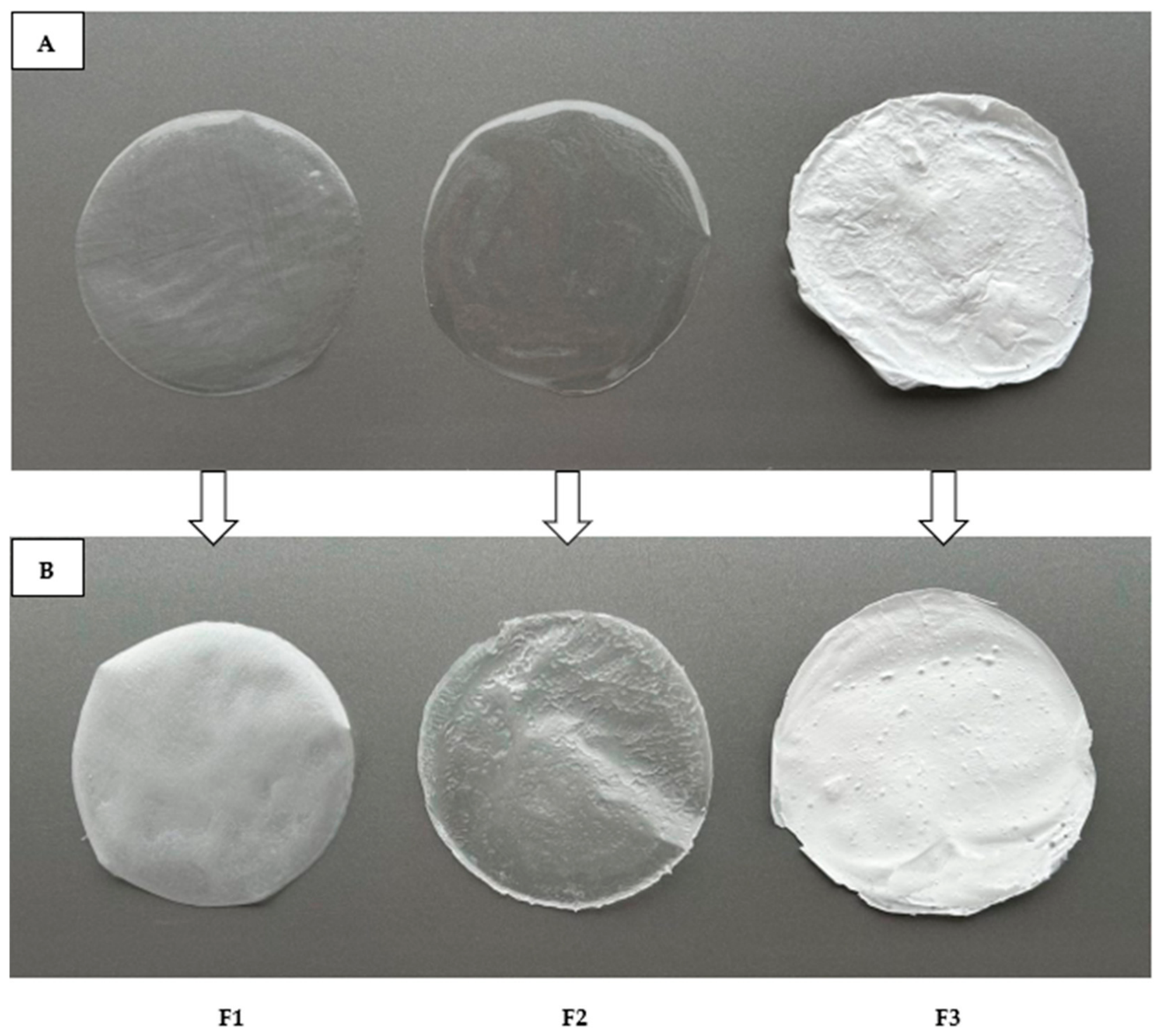 Pharmaceutics 18 00871 g002 Pharmaceutics 18 00871 g002