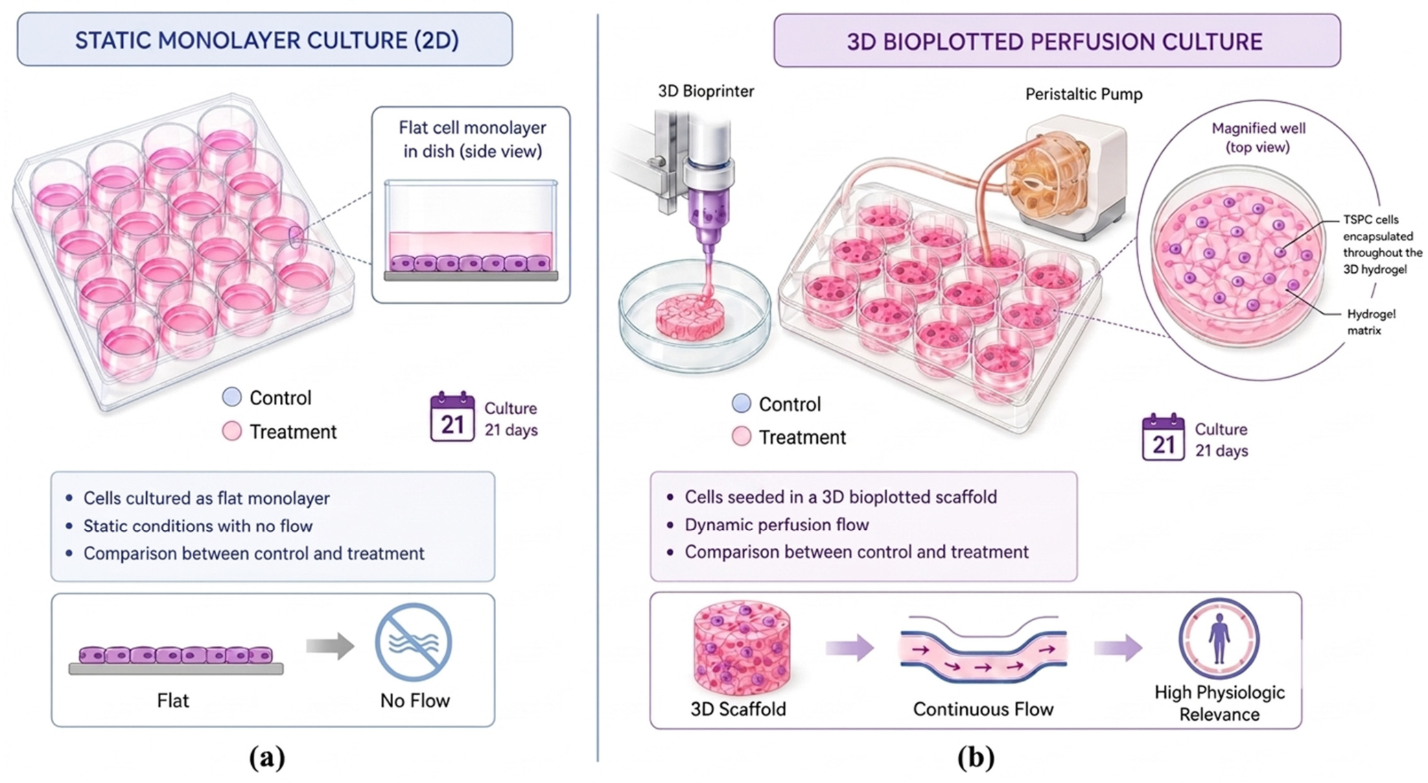 Pharmaceutics 18 00907 g001