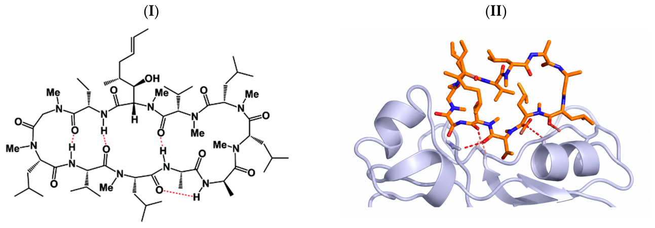 Pharmaceutics 18 00956 g004 Pharmaceutics 18 00956 g004