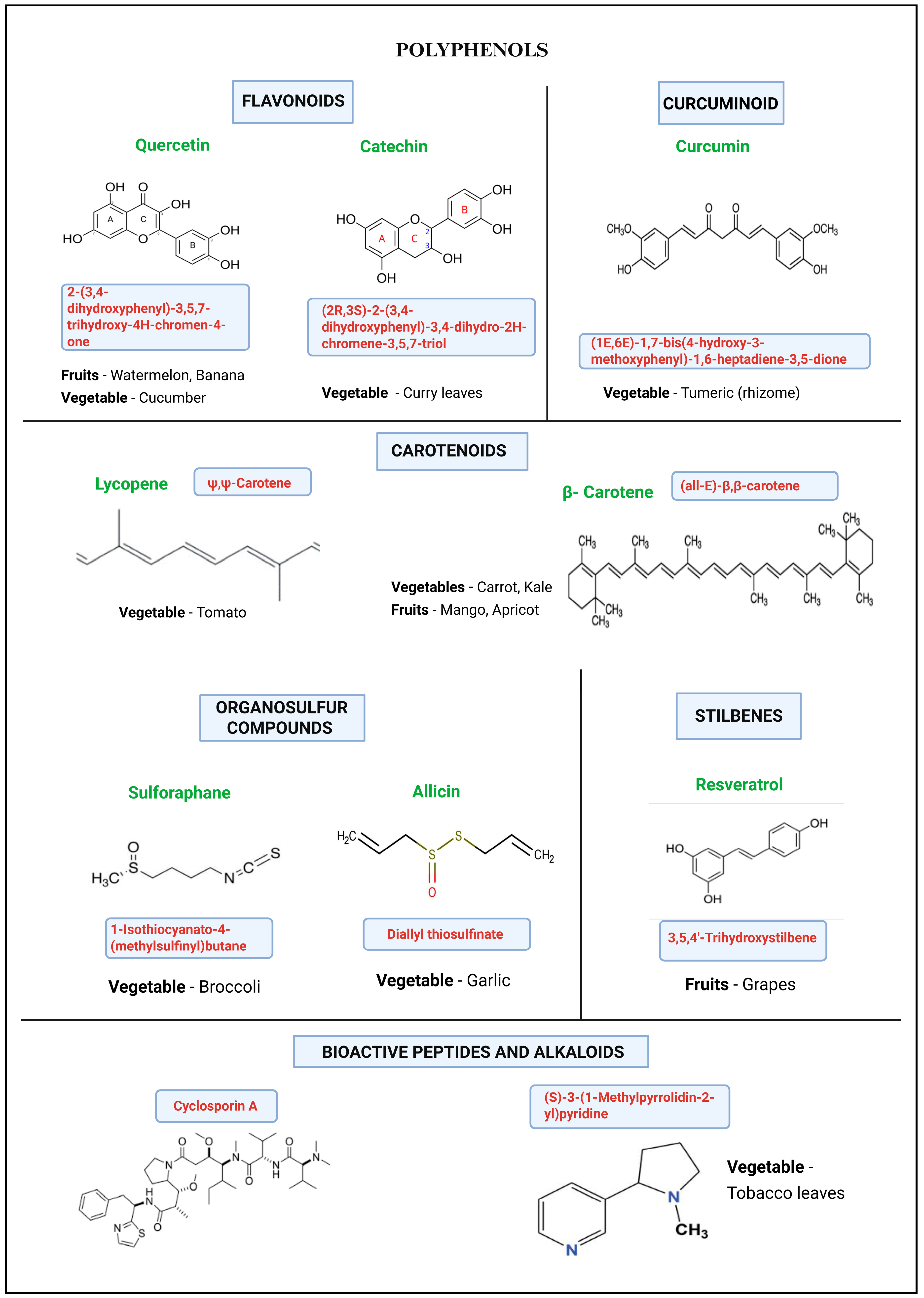 Pharmaceutics 18 00978 g001 Pharmaceutics 18 00978 g001