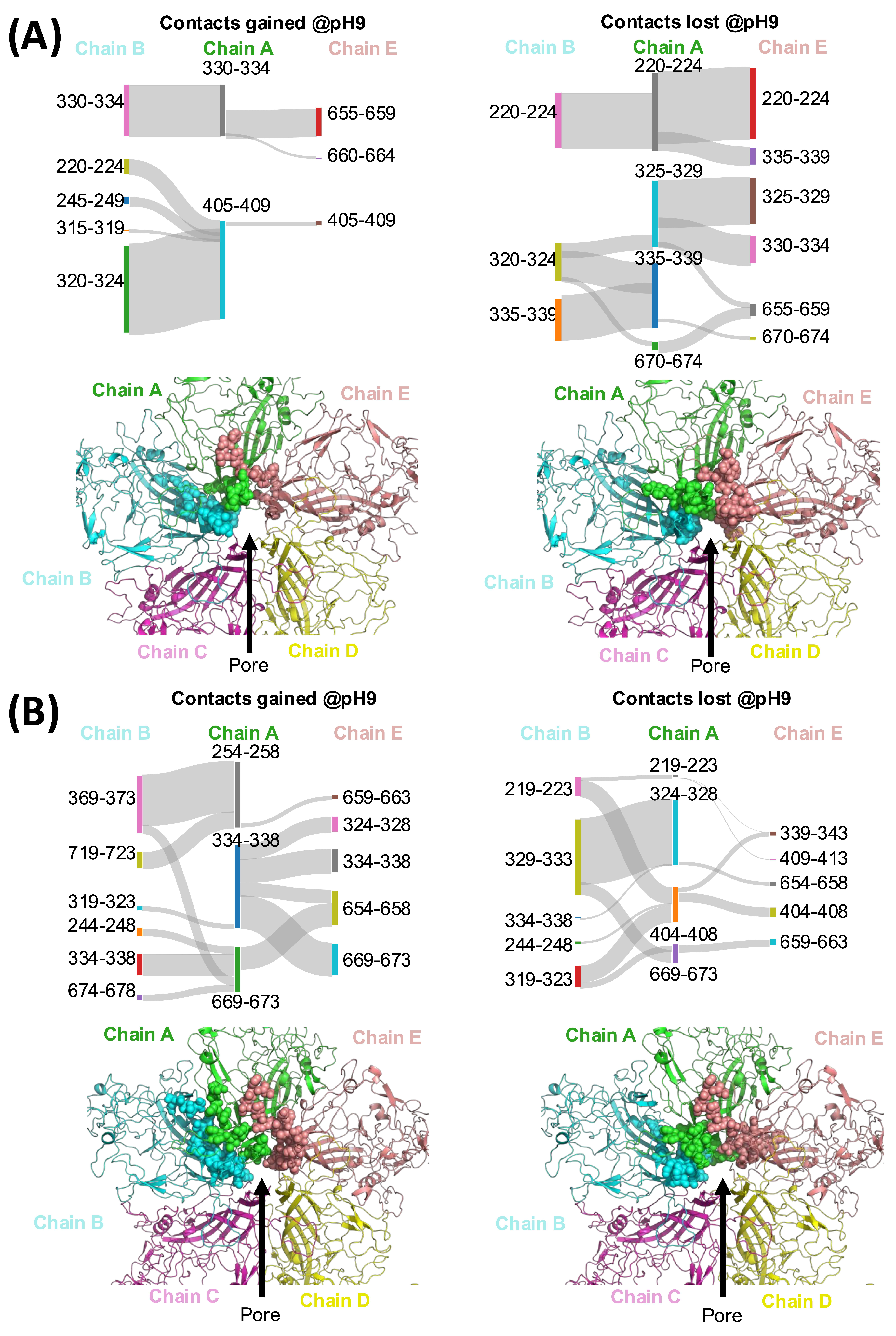 Pharmaceutics 18 01053 g004 Pharmaceutics 18 01053 g004