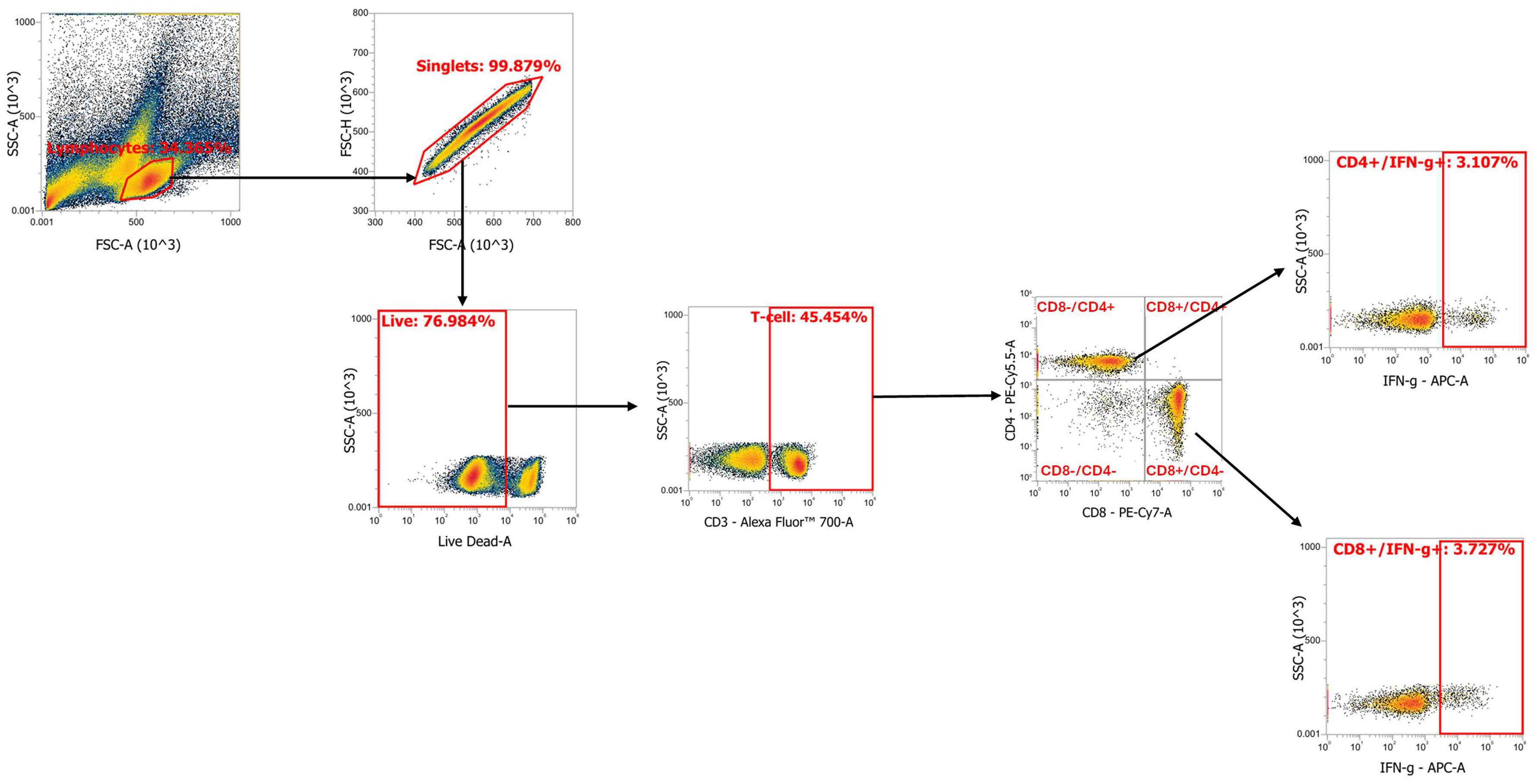 Pharmaceutics 18 01109 g001 Pharmaceutics 18 01109 g001