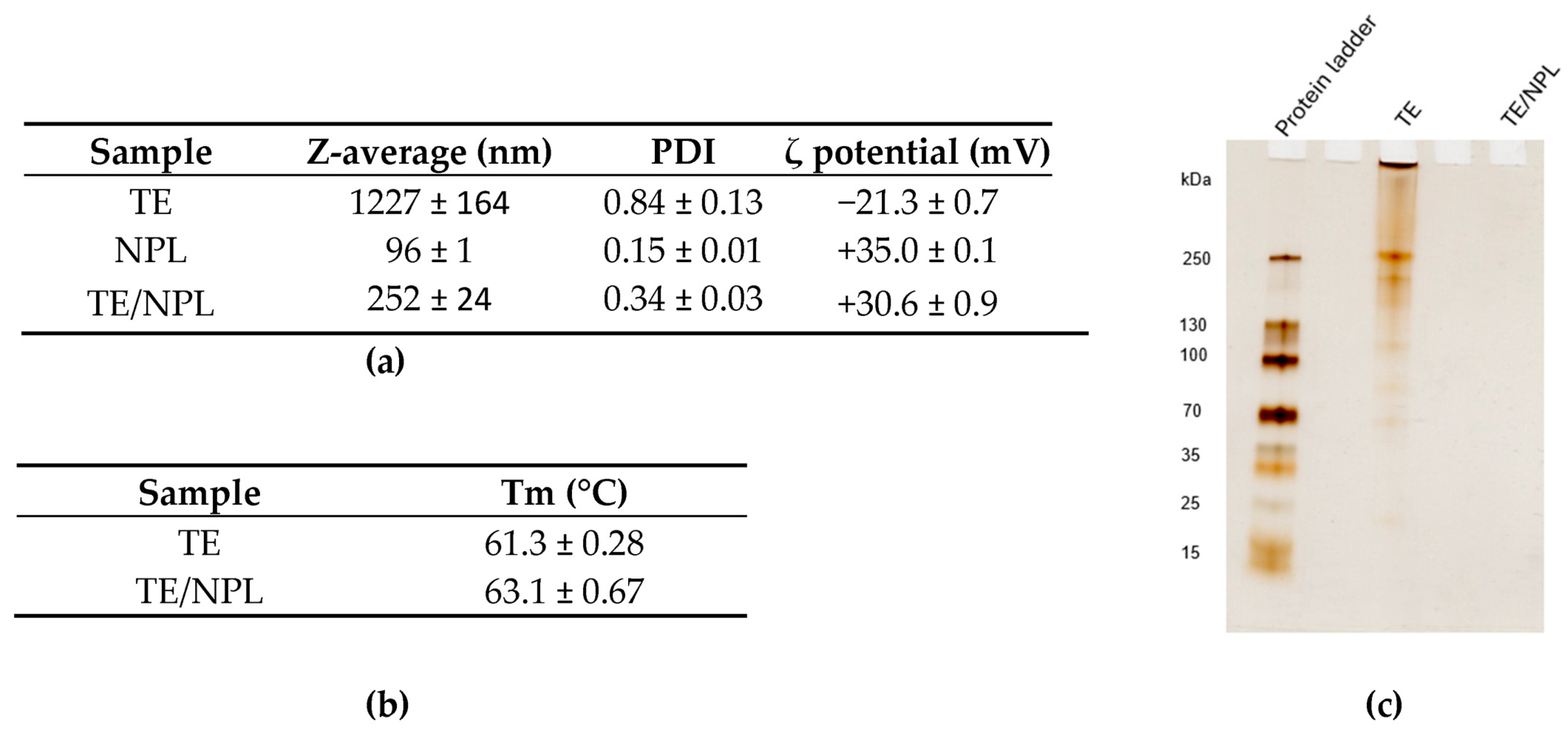 Pharmaceutics 18 01109 g002 Pharmaceutics 18 01109 g002