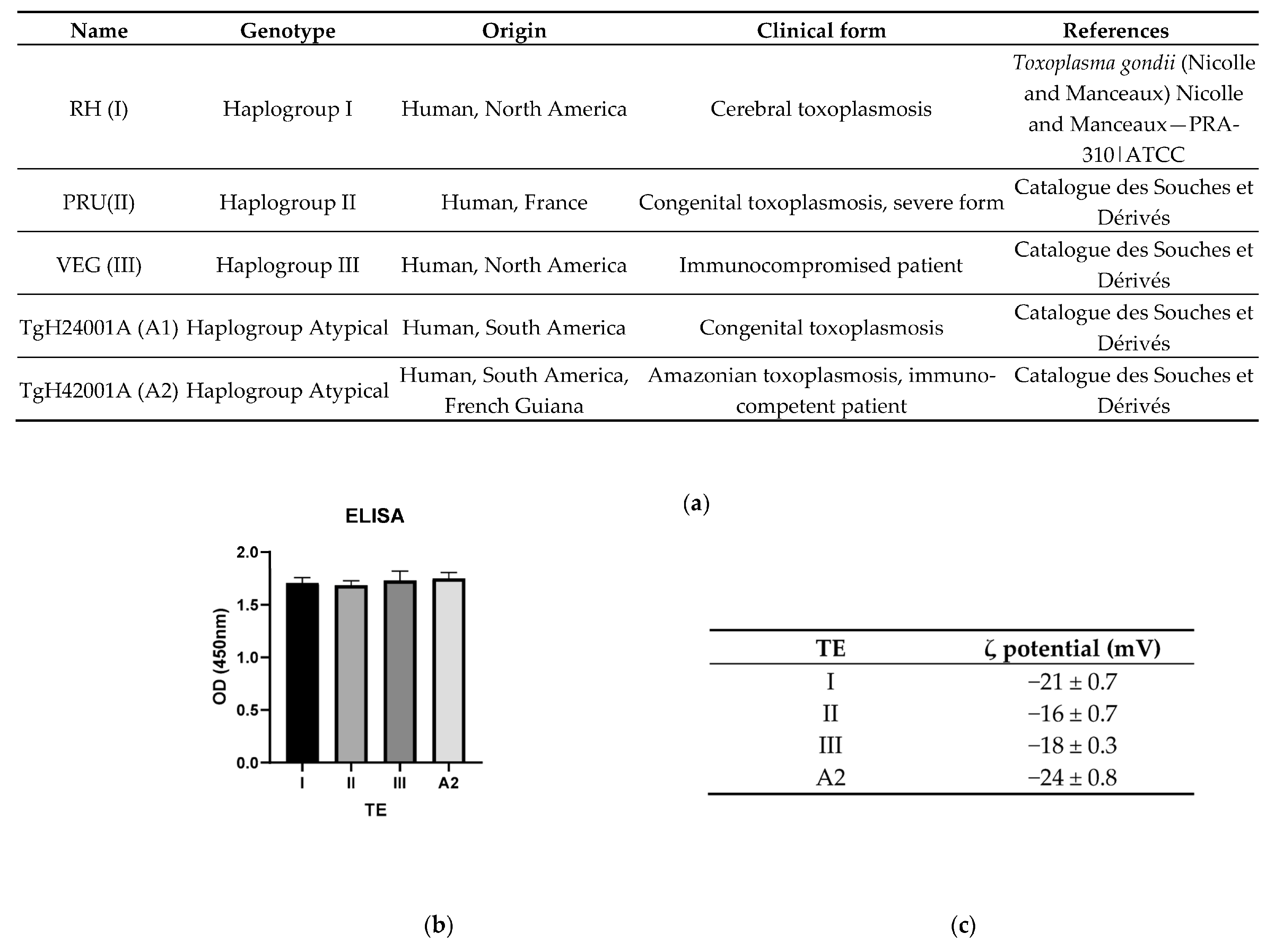 Pharmaceutics 18 01109 g003 Pharmaceutics 18 01109 g003
