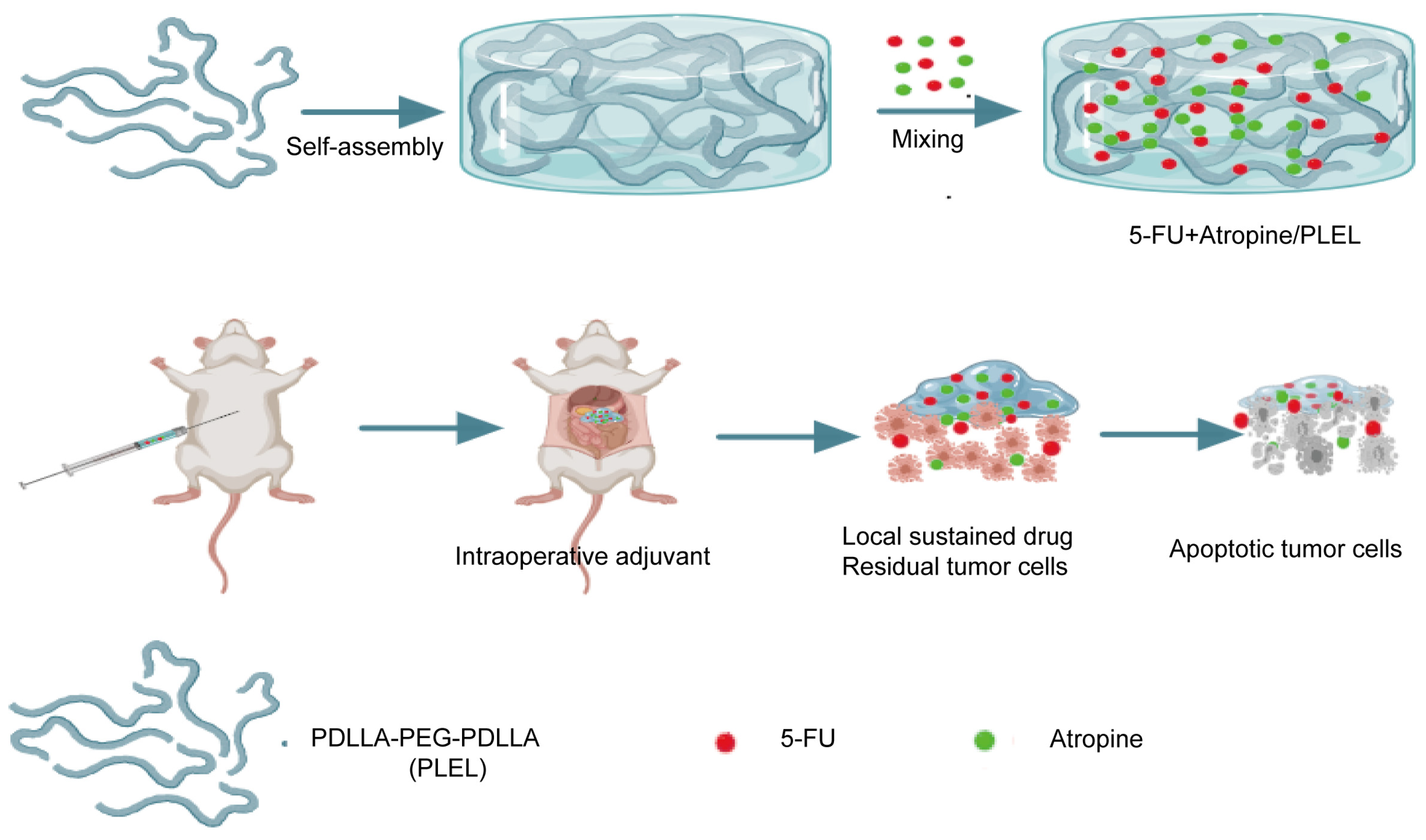 Pharmaceutics 18 01224 sch001 Pharmaceutics 18 01224 sch001