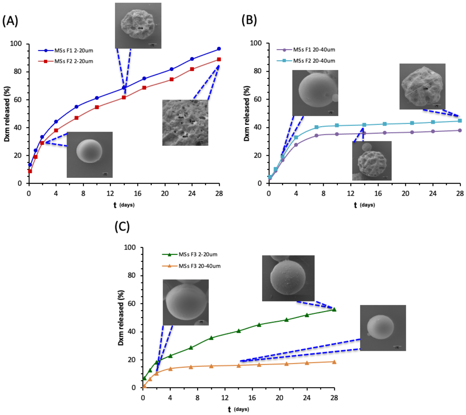 Pharmaceutics 18 01239 g003 Pharmaceutics 18 01239 g003