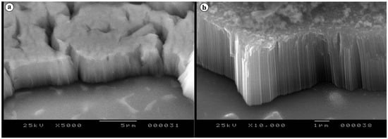 Compact Tio2 Sem Tailoring TiO2 Nanotube Arrays via Anodization Voltage and Thermal ...