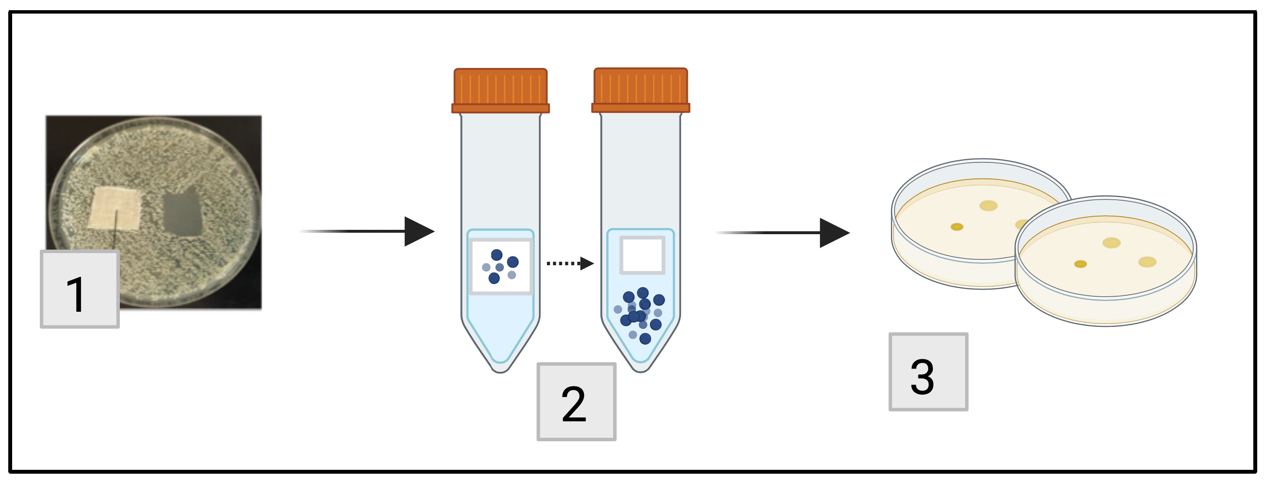 Pharmaceutics 18 01301 g001 Pharmaceutics 18 01301 g001