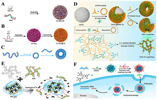Pharmaceutics 18 01337 g003