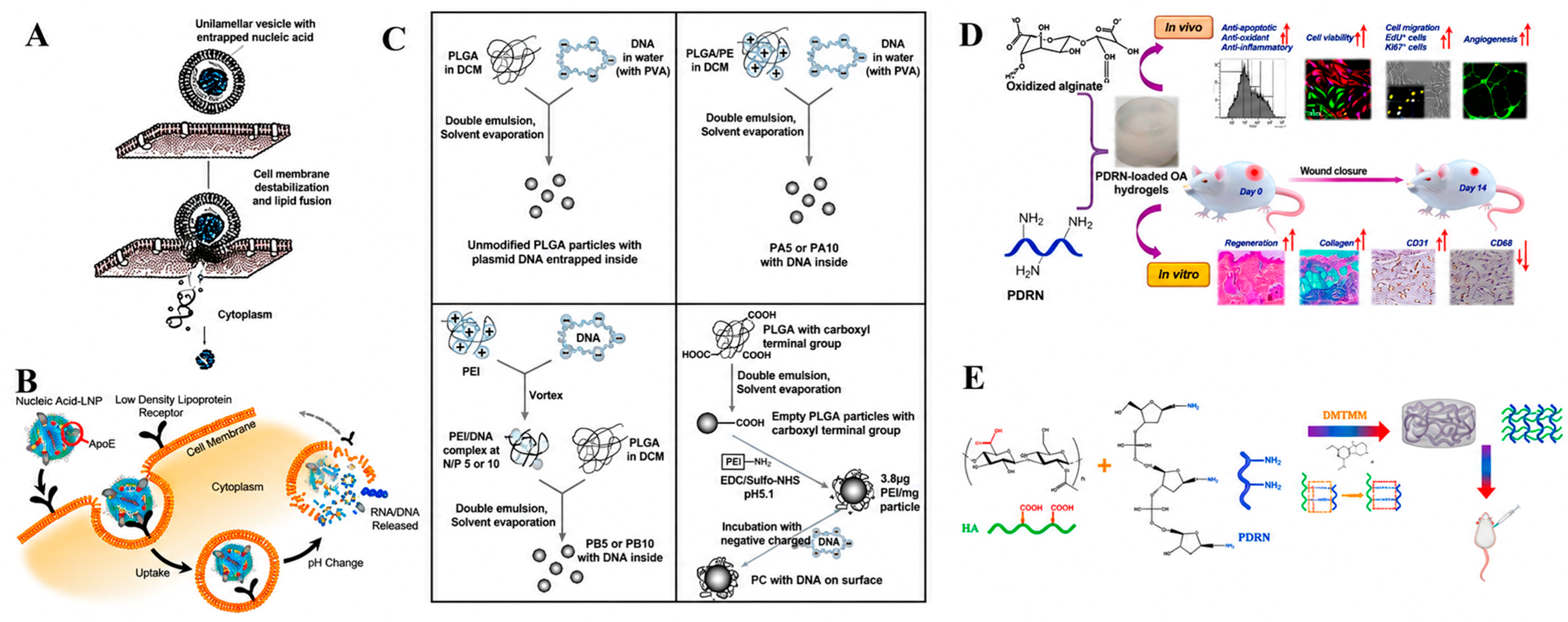 Pharmaceutics 18 01337 g004 Pharmaceutics 18 01337 g004